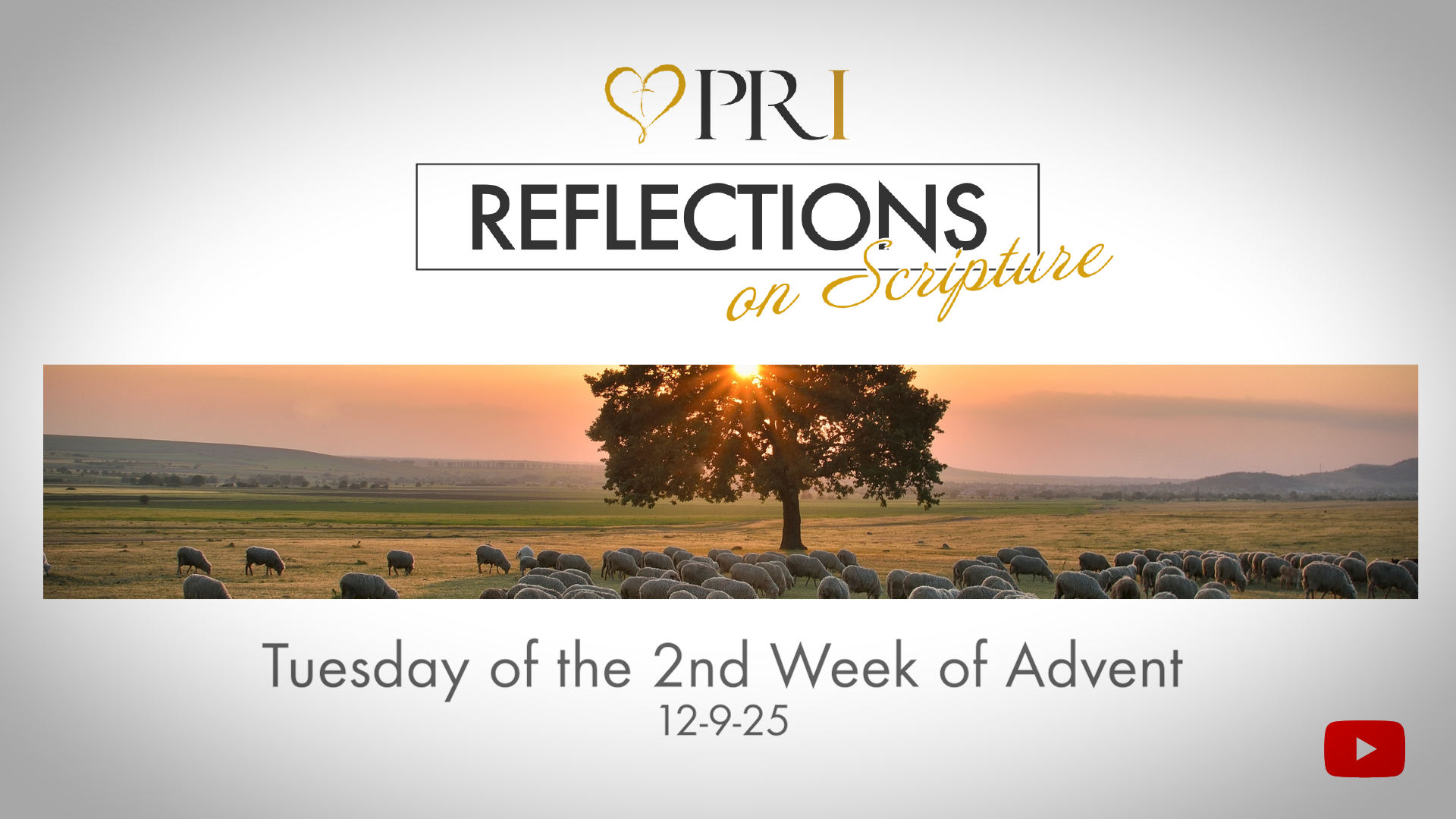 PRI Reflections on Scripture | Tuesday of the 2nd Week of Advent