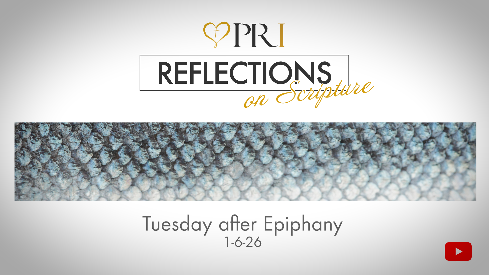 PRI Reflections on Scripture | Tuesday after Epiphany