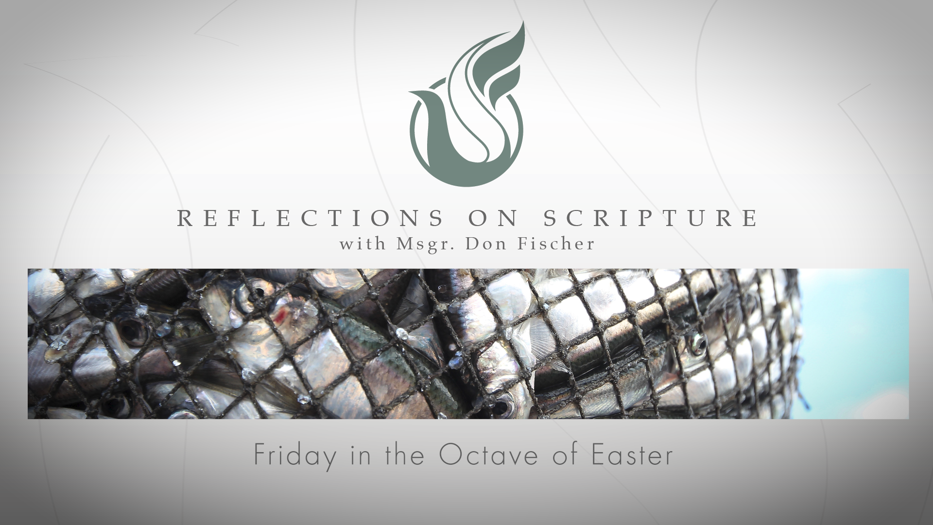 PRI Reflections on Scripture | Friday in the Octave of Easter