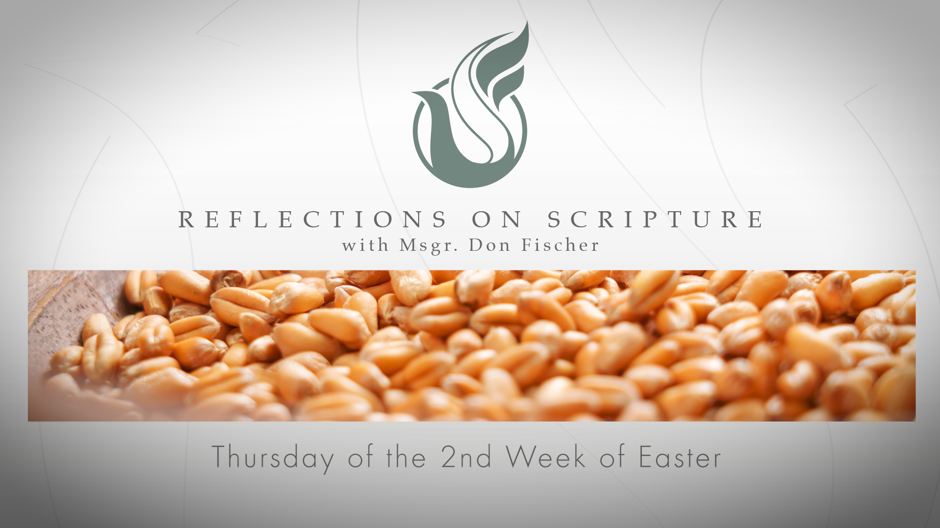 PRI Reflections on Scripture | Thursday of the 2nd Week of Easter 