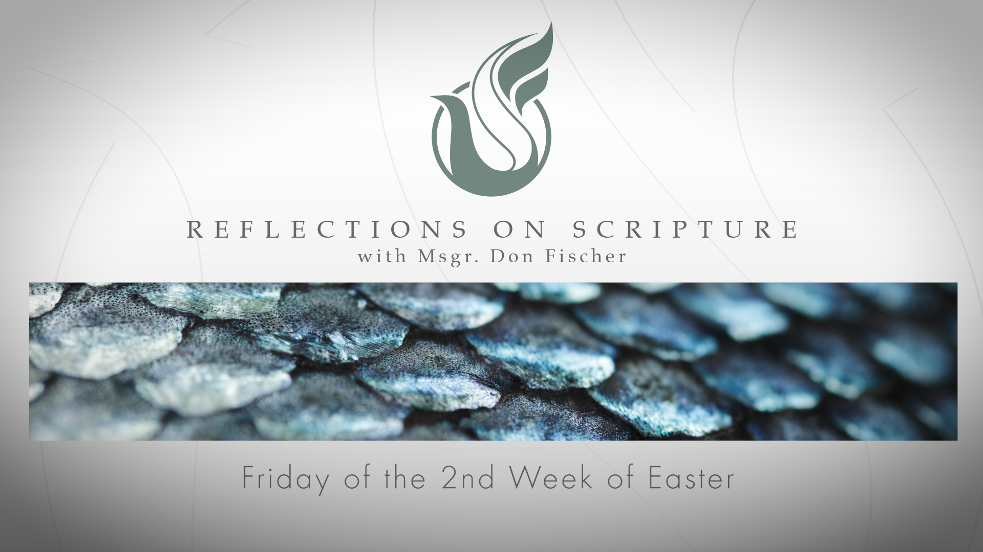 PRI Reflections on Scripture | Friday of the 2nd Week of Easter