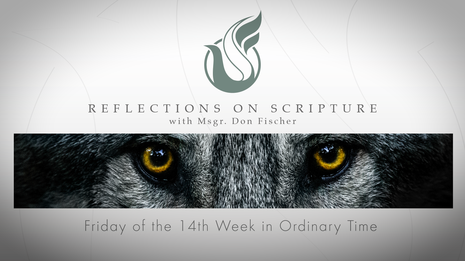 PRI Reflections on Scripture | Friday of the 14th Week in Ordinary Time