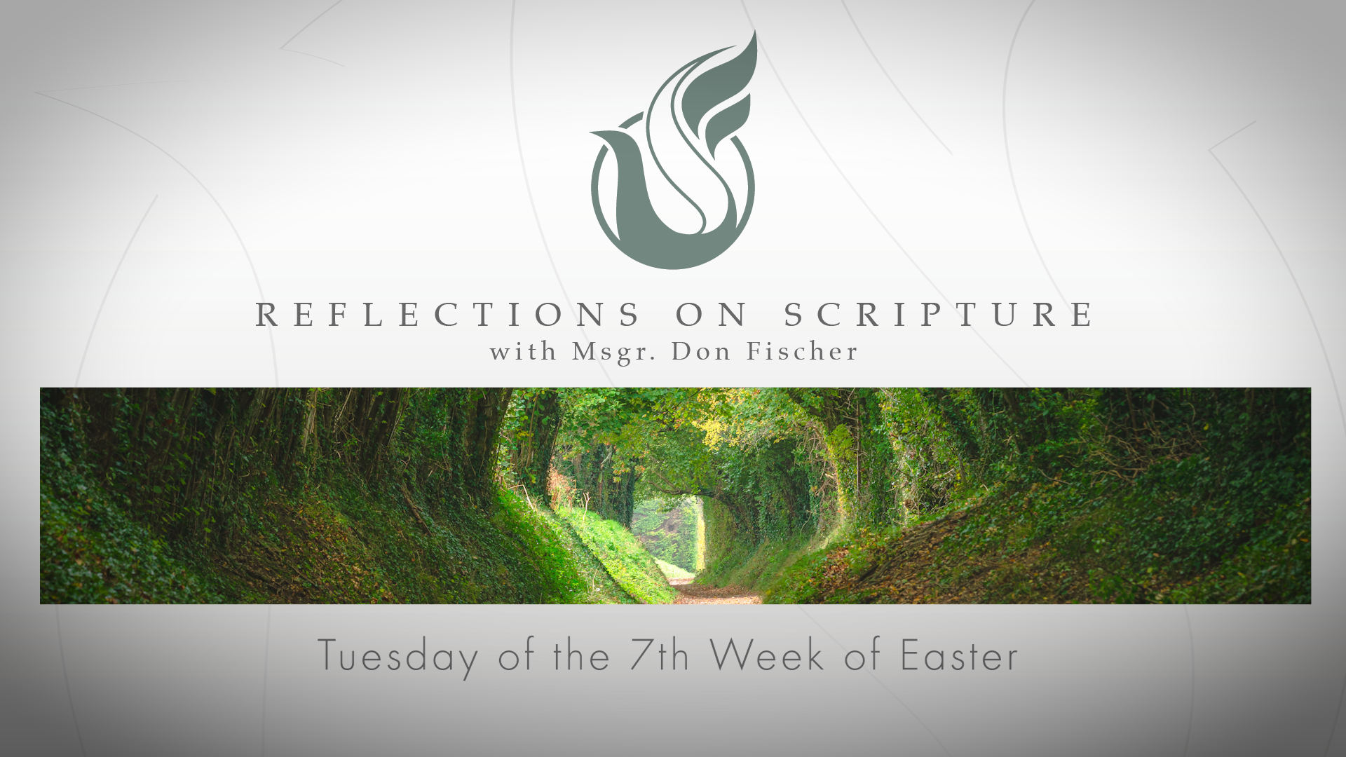 PRI Reflections on Scripture | Tuesday of the 7th Week of Easter