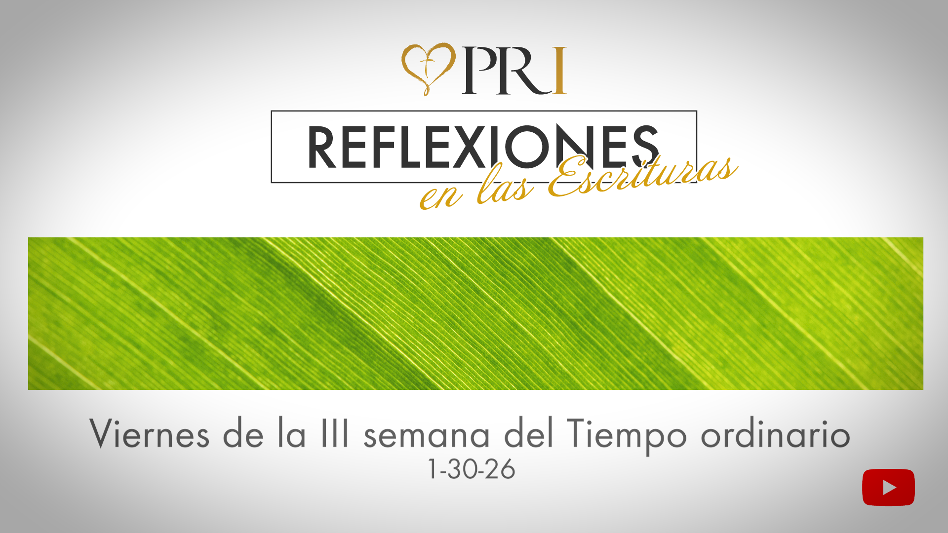 Reflexiones de las Escrituras | Viernes de la III semana del Tiempo ordinario