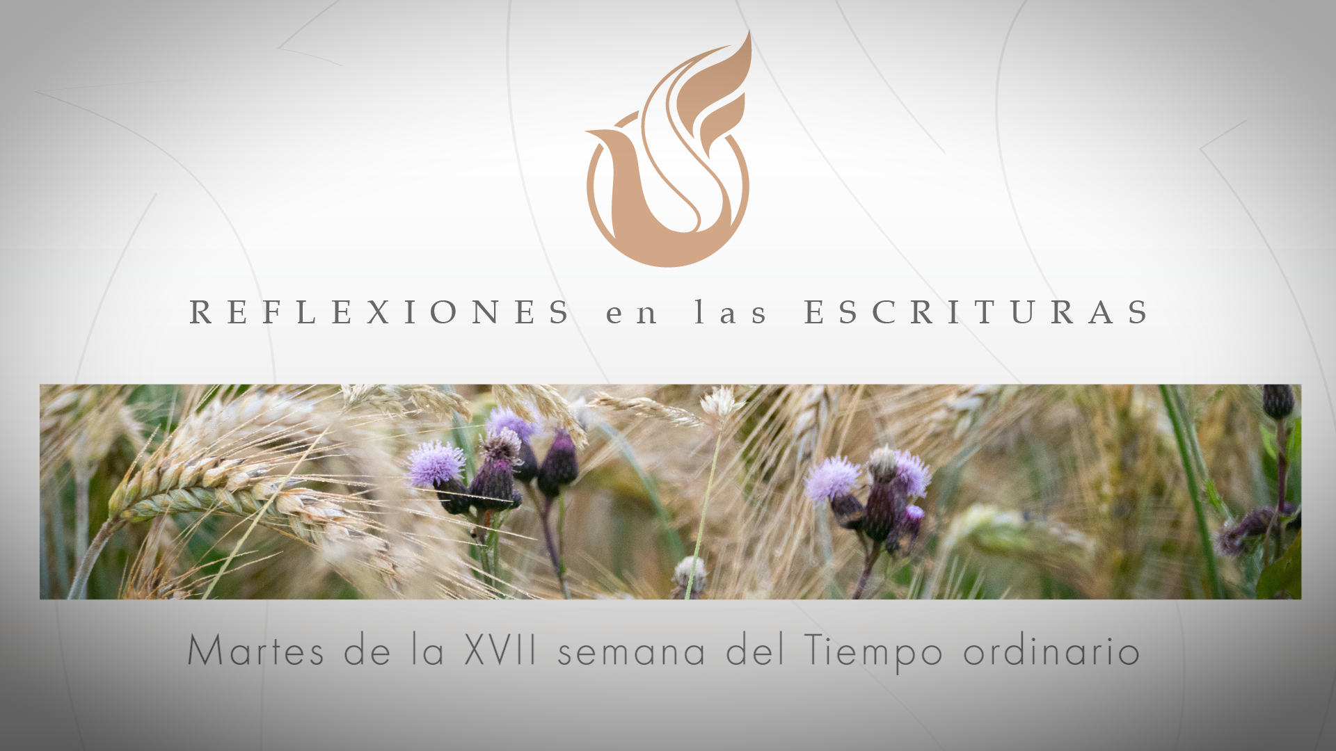 Reflexiones de las Escrituras | Martes de la XVII semana del Tiempo ordinario
