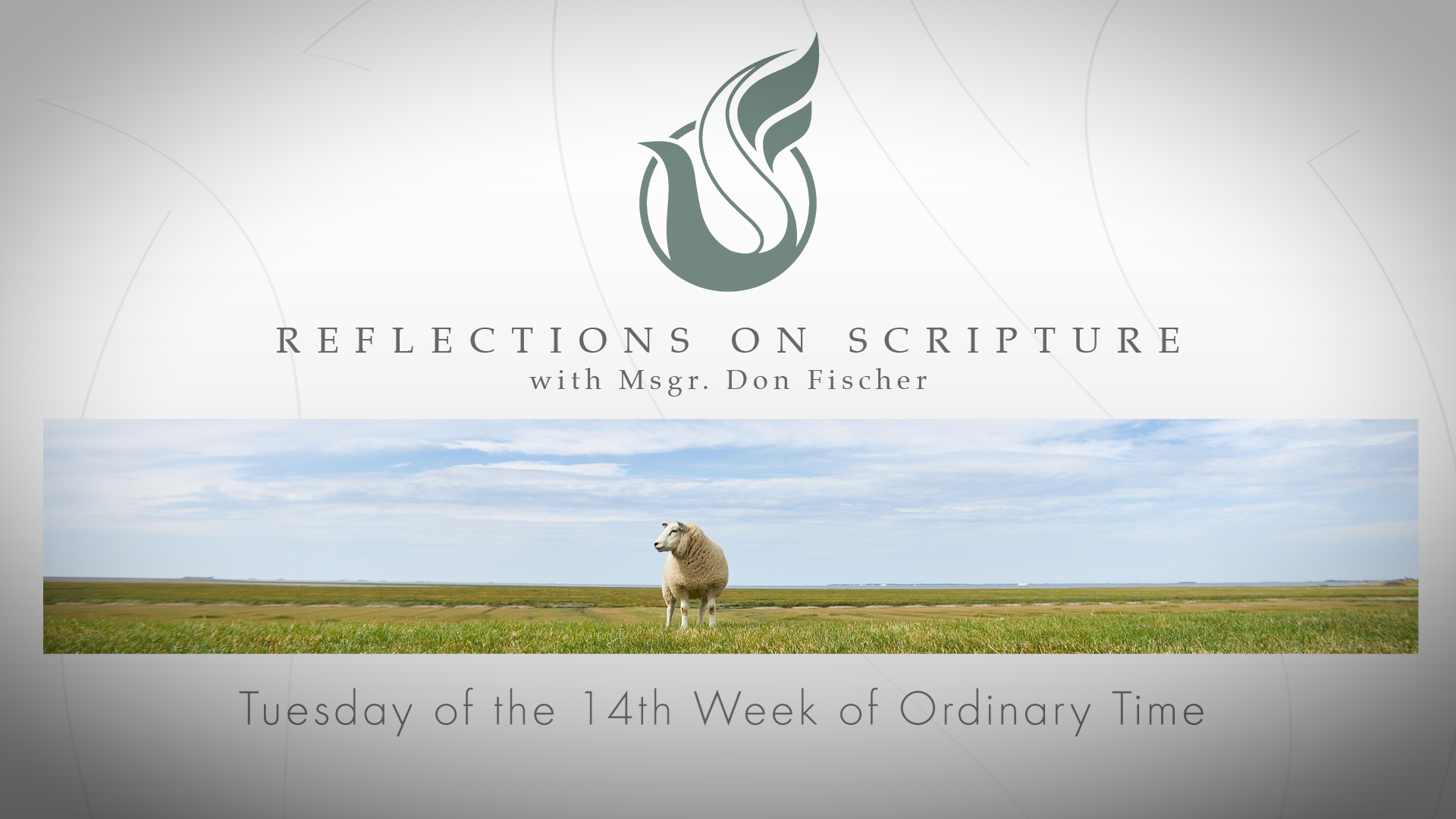 PRI Reflections on Scripture | Tuesday of the 14th Week of Ordinary Time