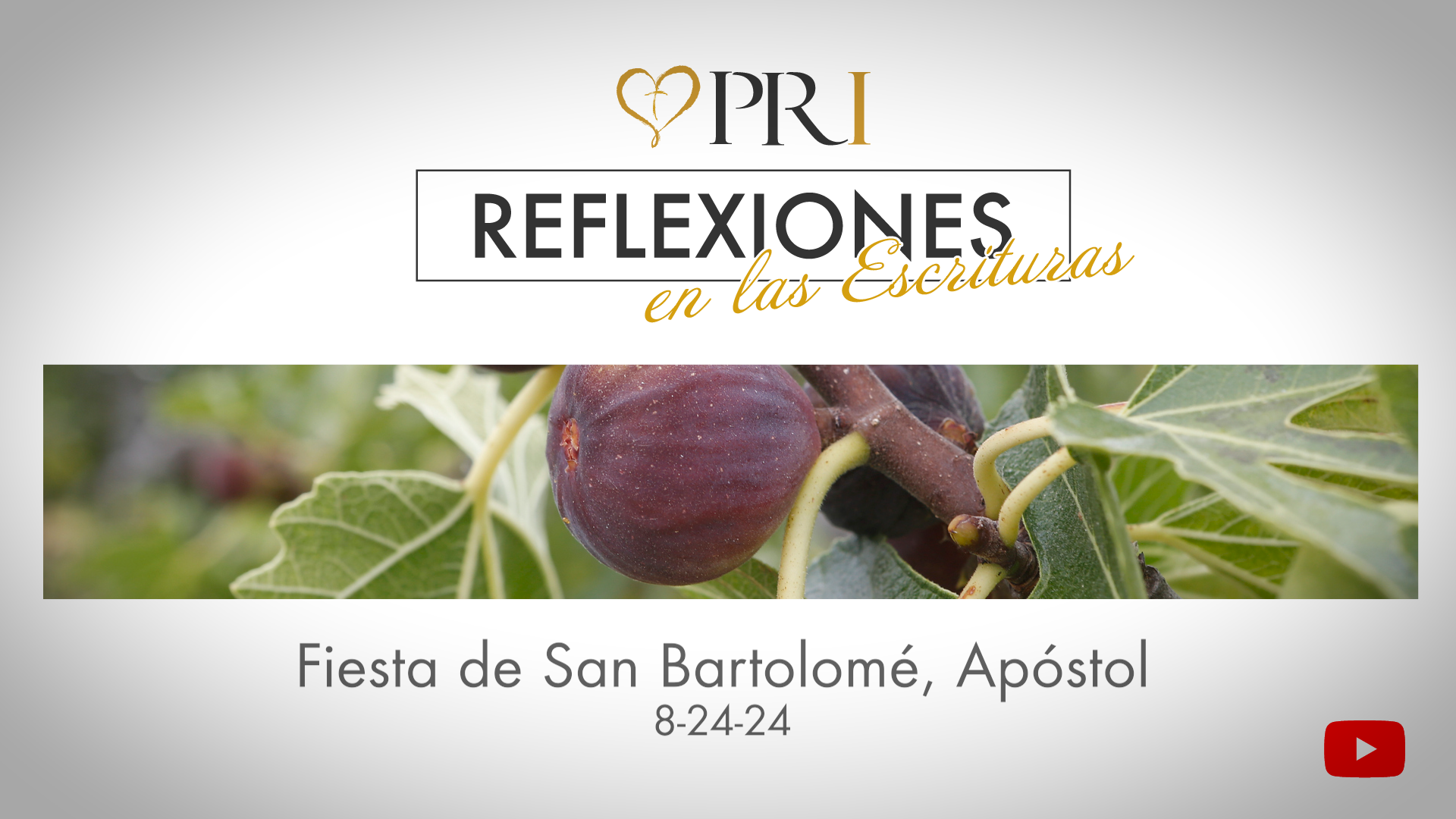 Reflexiones del PRI sobre las Escrituras | Fiesta de San Bartolomé, Apóstol