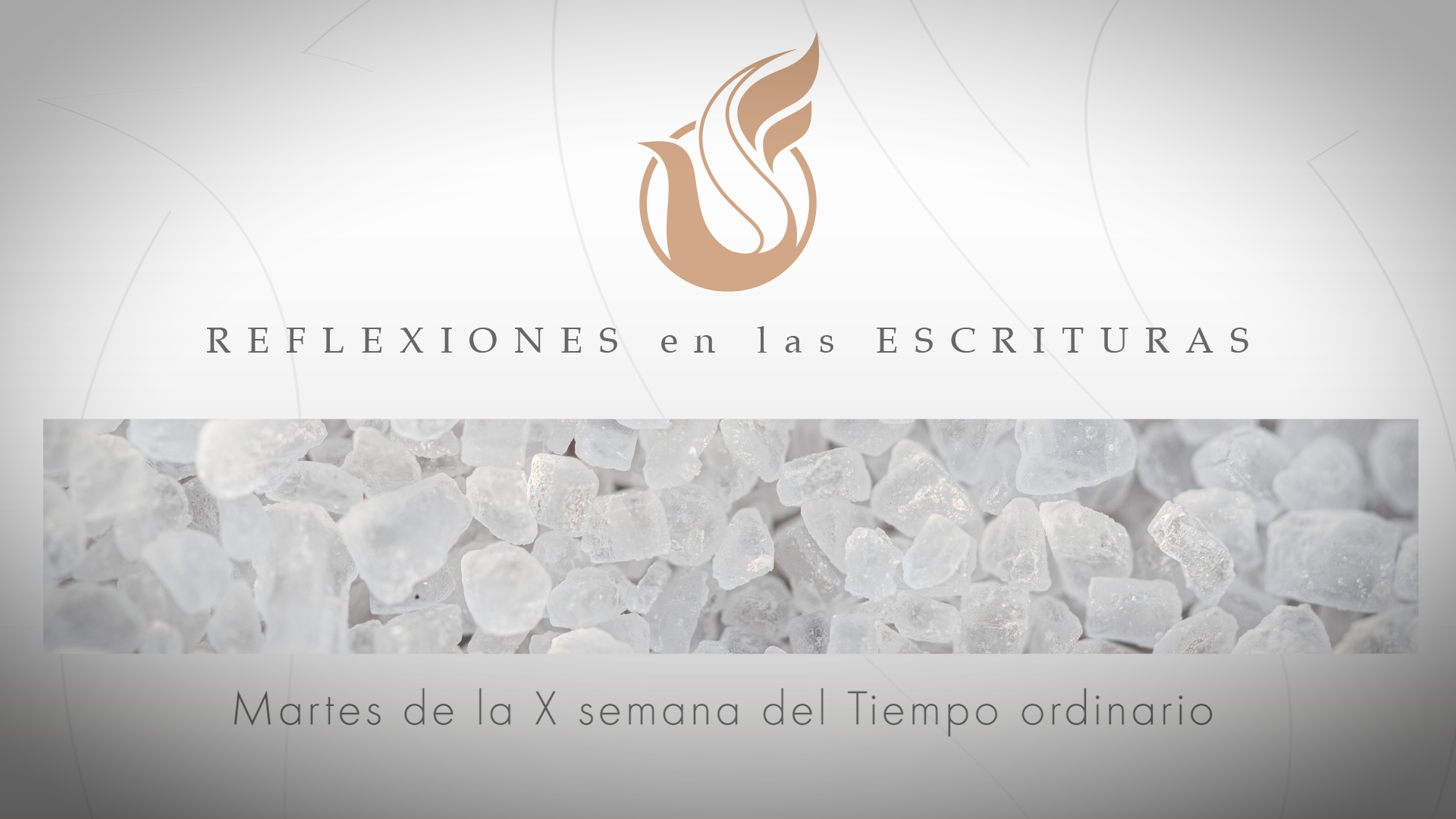 Reflexiones de las Escrituras | Martes de la X semana del Tiempo ordinario