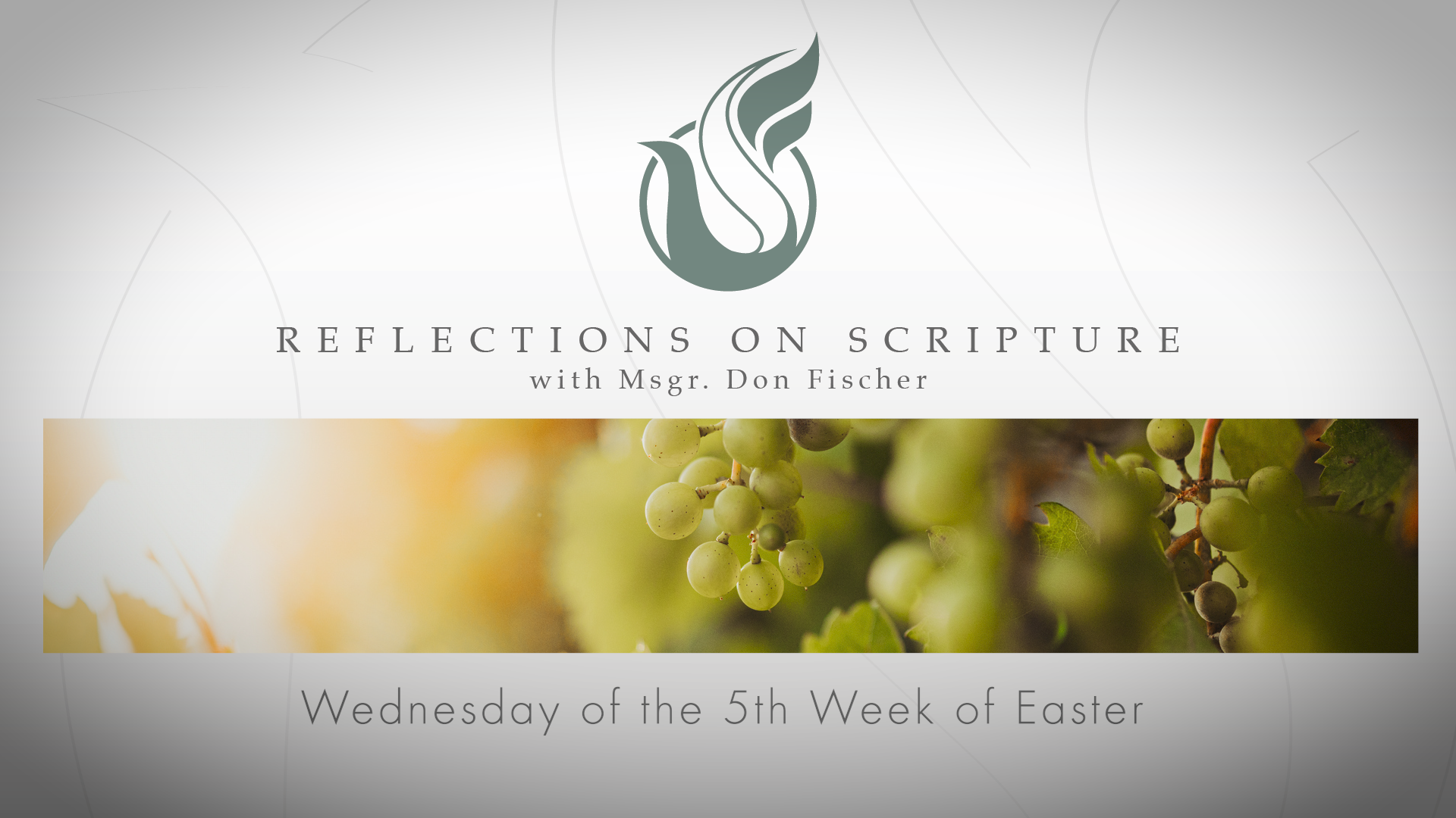 PRI Reflections on Scripture | Wednesday of the 5th Week of Easter