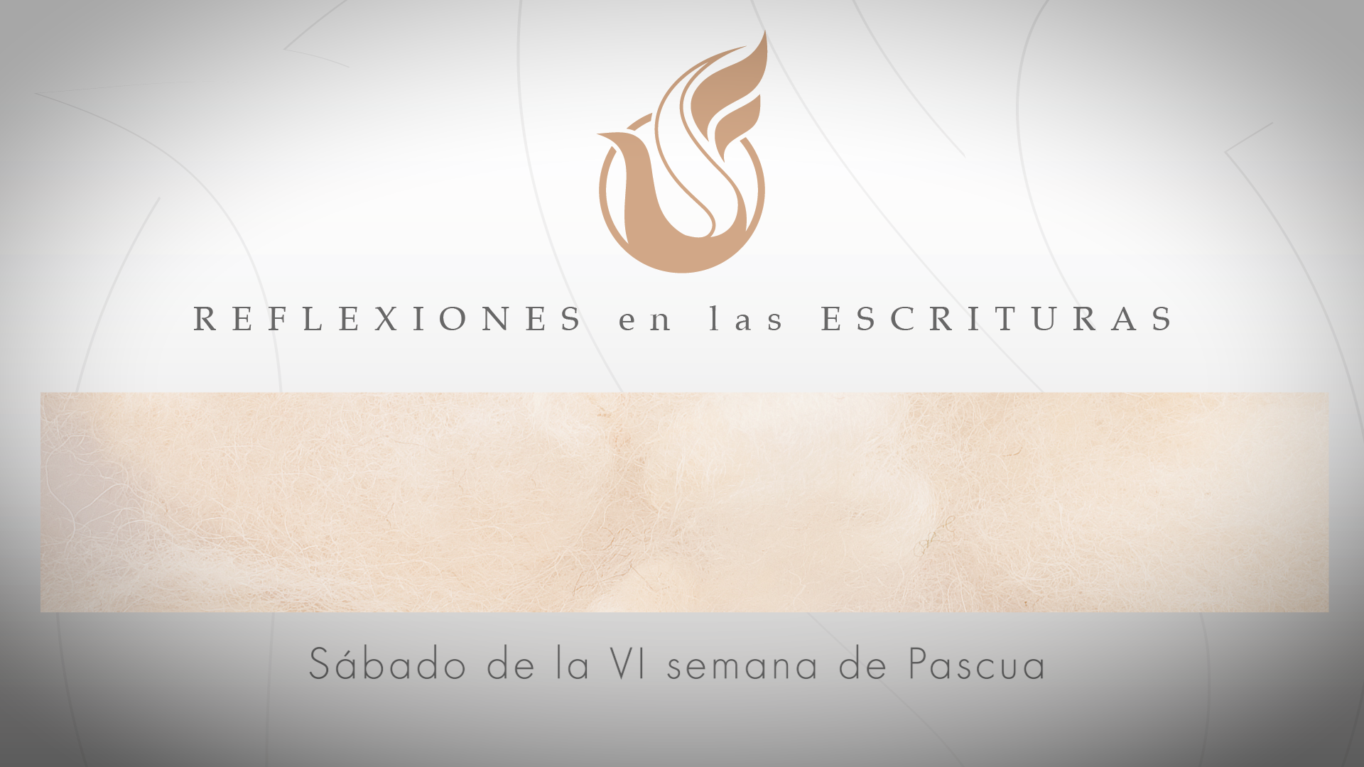 Reflexiones de las Escrituras | Sábado de la VI semana de Pascua