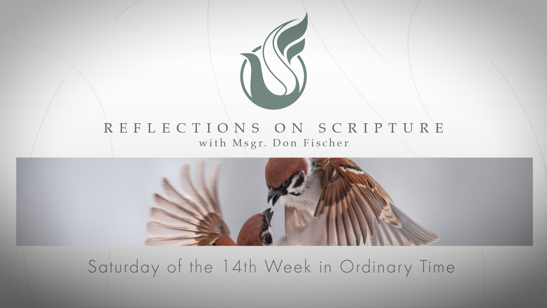 PRI Reflections on Scripture | Saturday of the 14th Week in Ordinary Time
