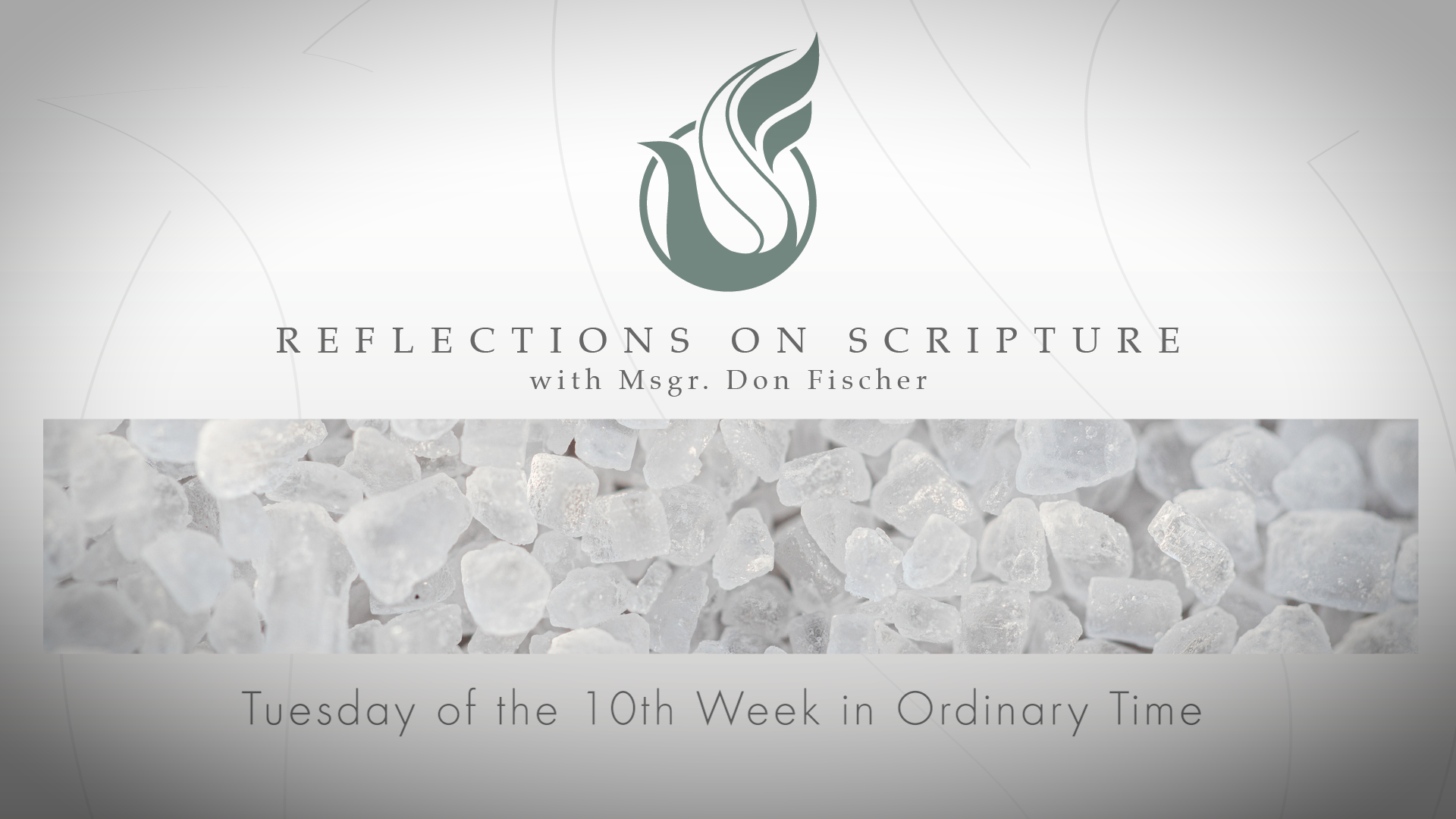 PRI Reflections on Scripture | Tuesday of the 10th Week in Ordinary Time