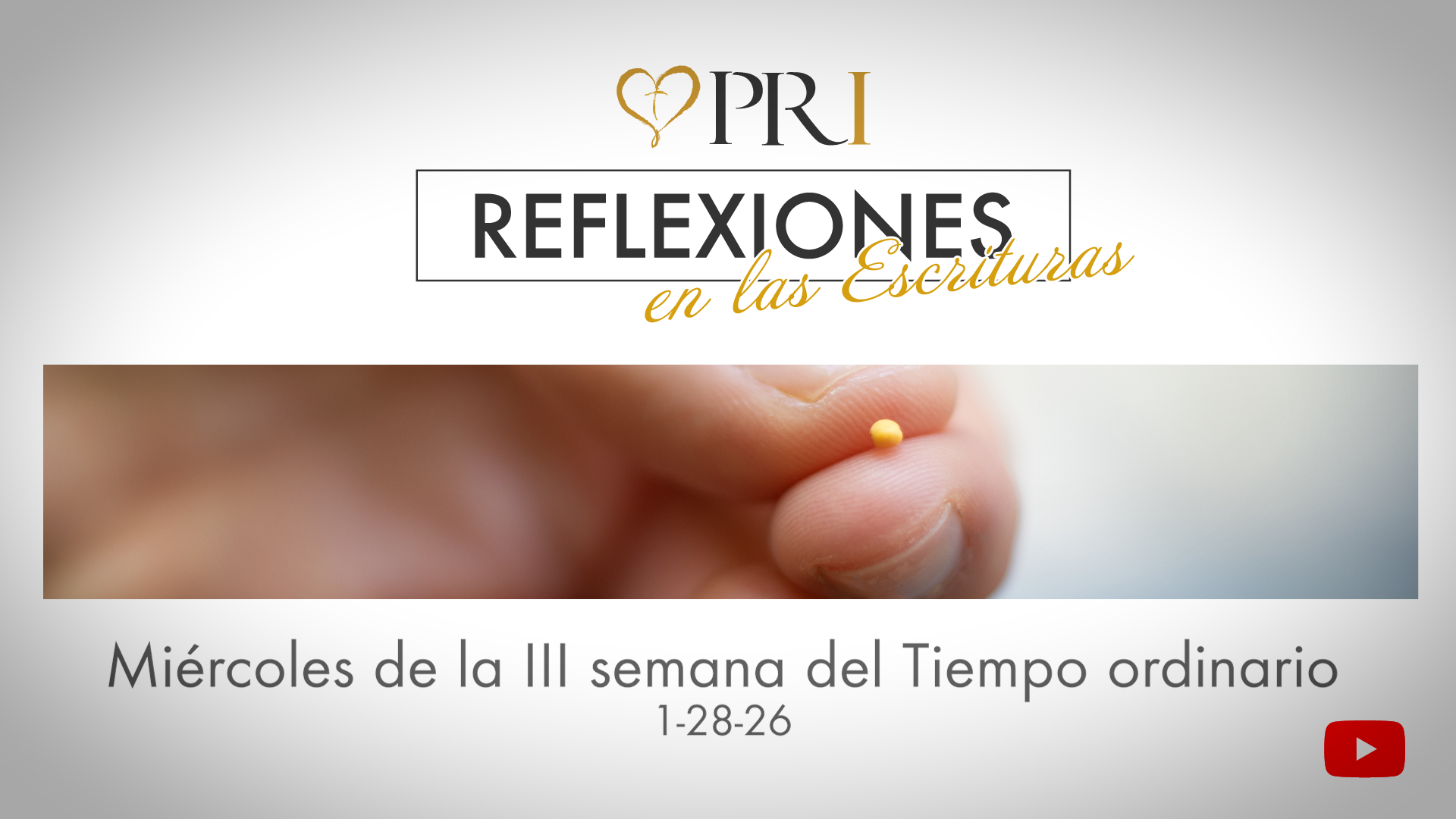Reflexiones de las Escrituras | Miércoles de la III semana del Tiempo ordinario