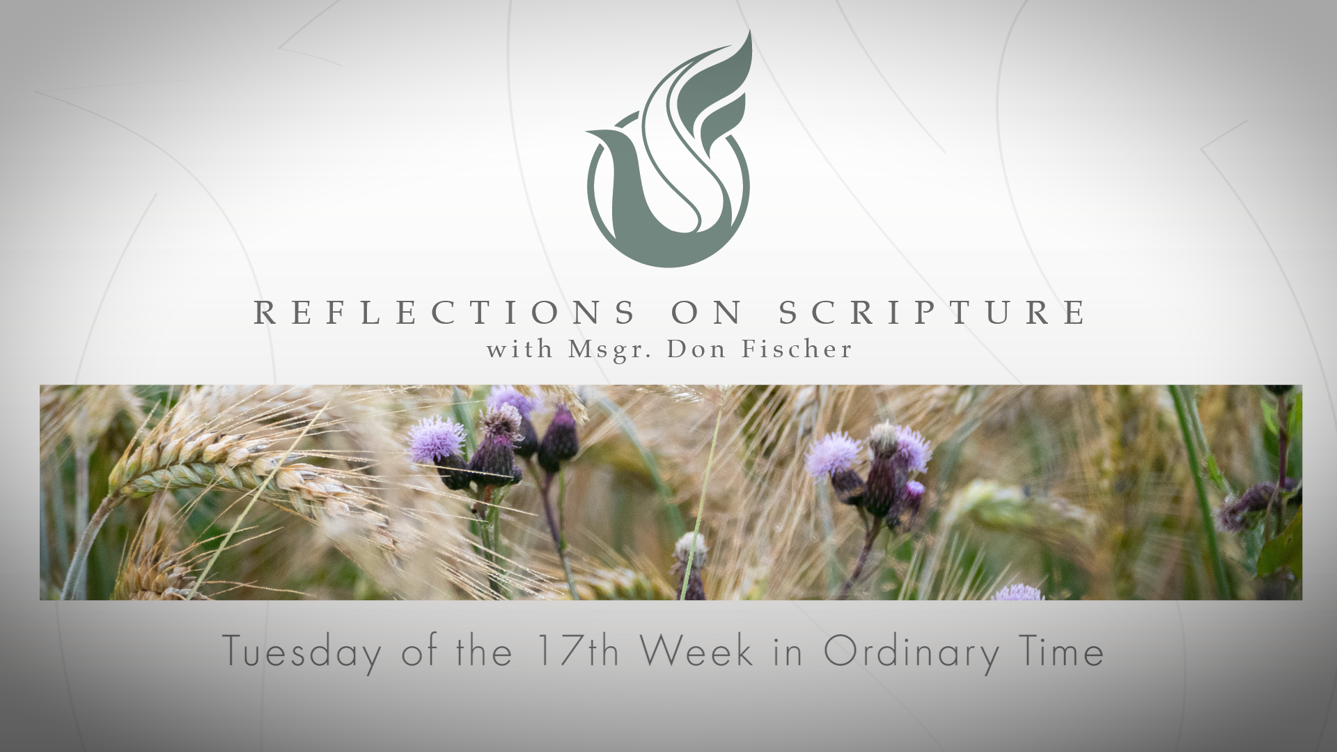 PRI Reflections on Scripture | Tuesday of the 17th Week in Ordinary Time