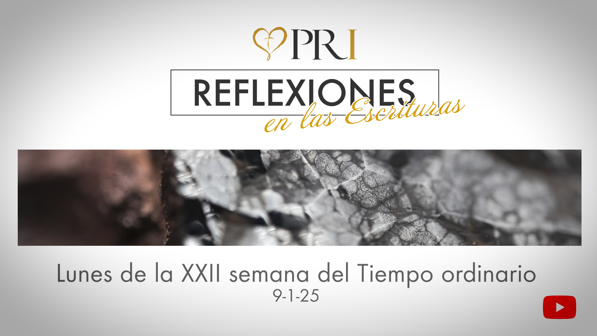 Del Instituto Pastoral de Reflexiones tenemos la meditación de las Escrituras | Lunes de la XXII semana del Tiempo ordinario