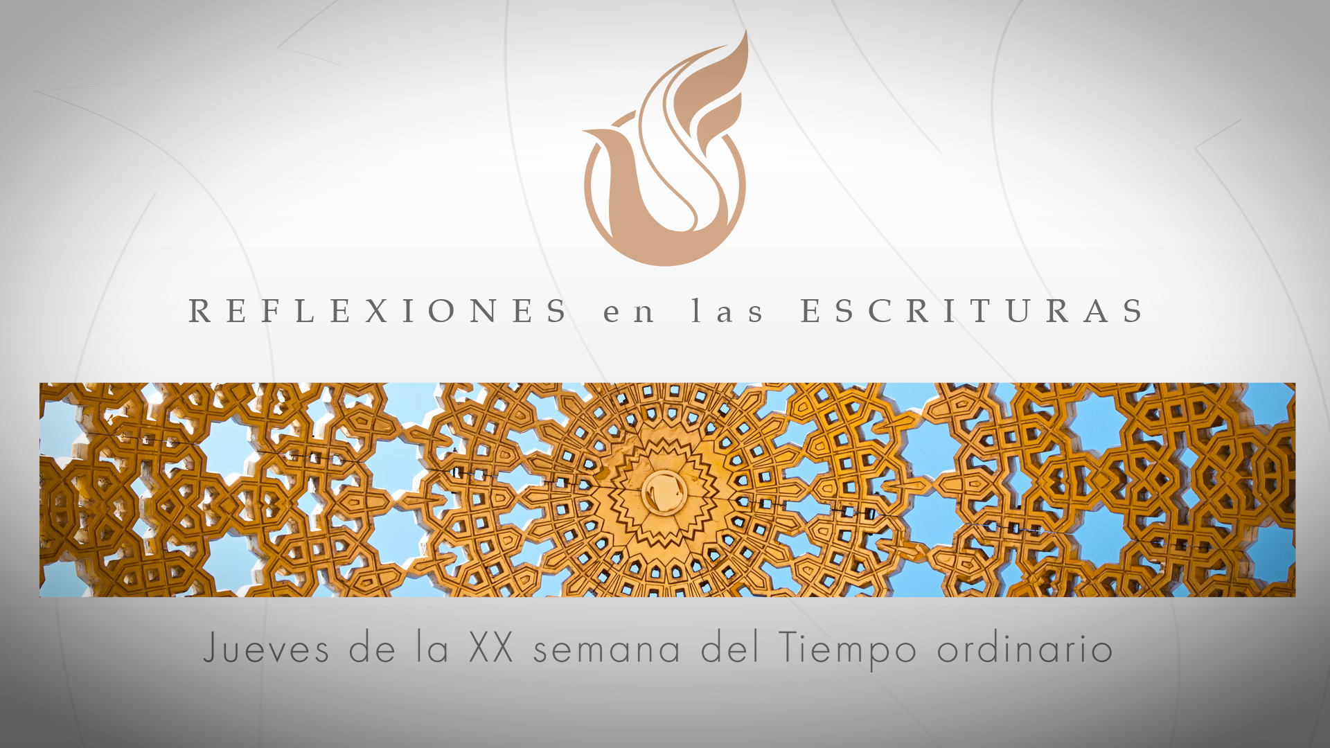 Reflexiones de las Escrituras | Jueves de la XX semana del Tiempo ordinario