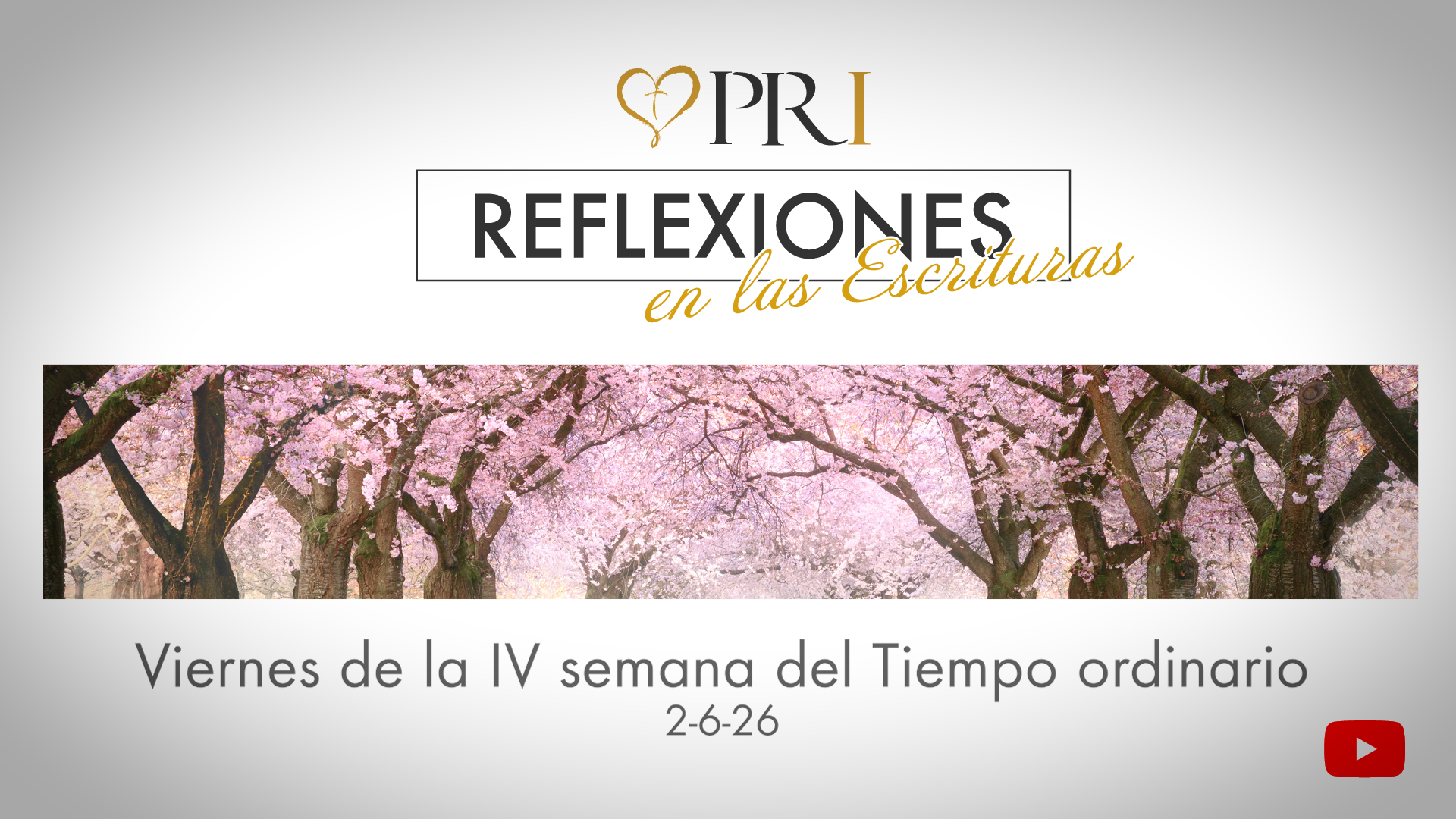 Reflexiones de las Escrituras | Viernes de la IV semana del Tiempo ordinario