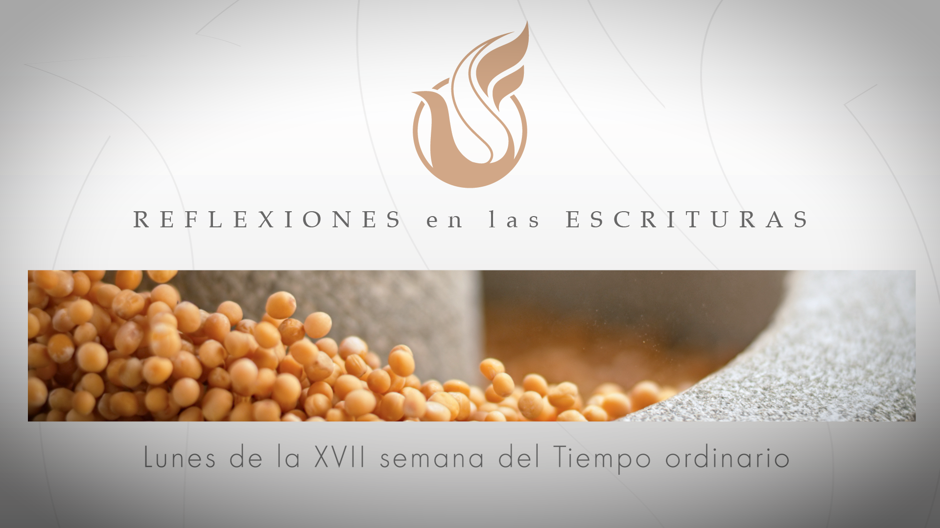 Reflexiones de las Escrituras | Lunes de la XVII semana del Tiempo ordinario