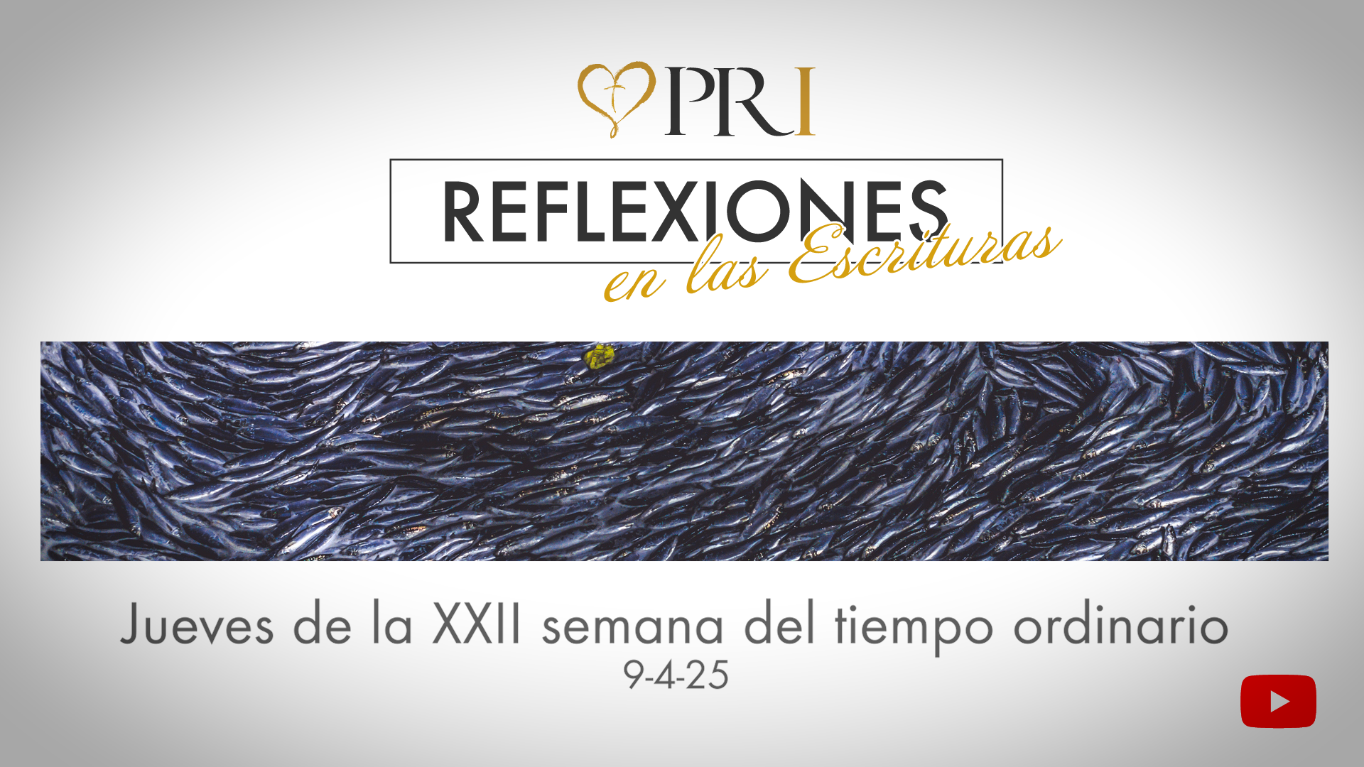 Del Instituto Pastoral de Reflexiones tenemos la meditación de las Escrituras | Jueves de la XXII semana del tiempo ordinario