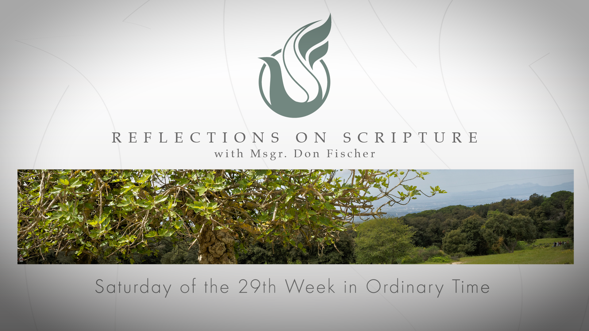 PRI Reflections on Scripture | Saturday of the 29th Week in Ordinary Time