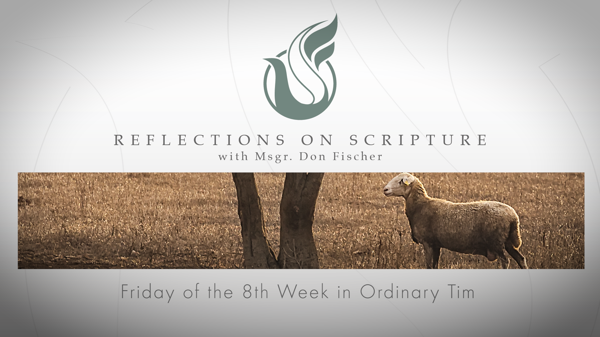 PRI Reflections on Scripture | Friday of the 8th Week in Ordinary Time