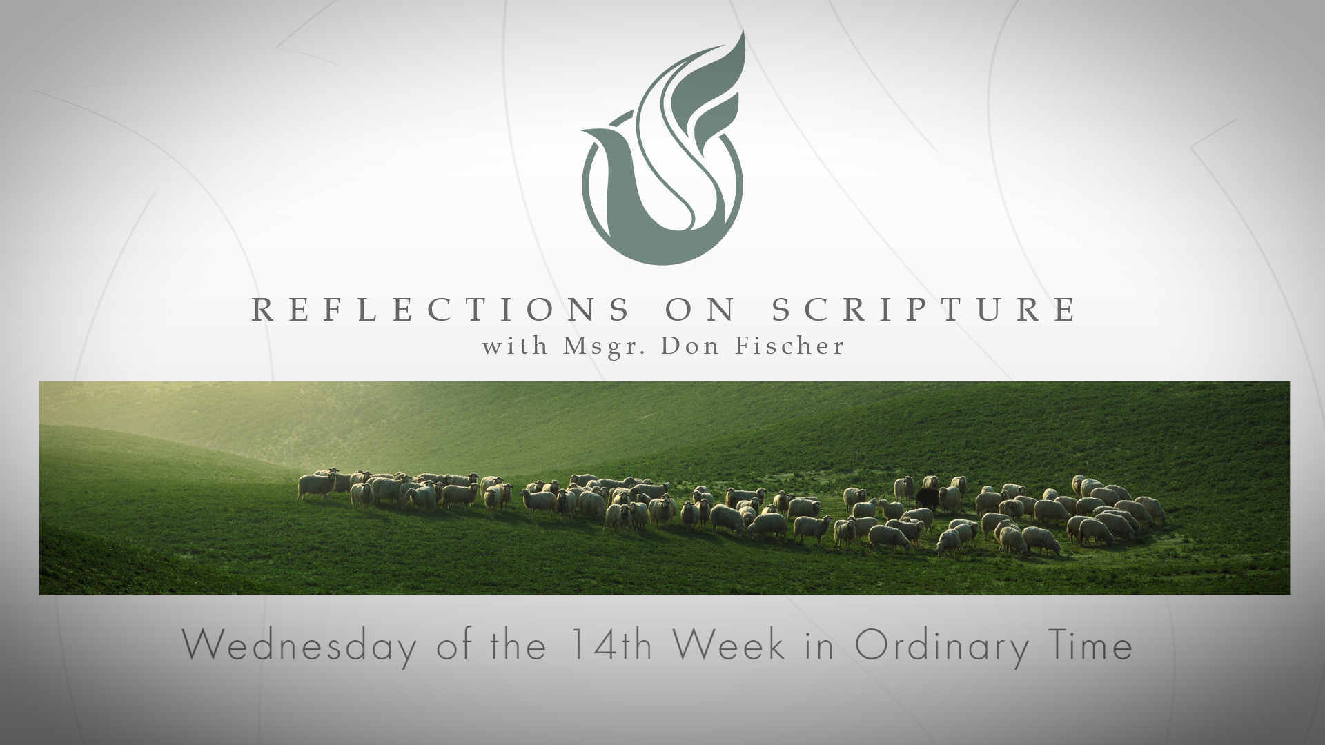 PRI Reflections on Scripture | Wednesday of the 14th Week in Ordinary Time