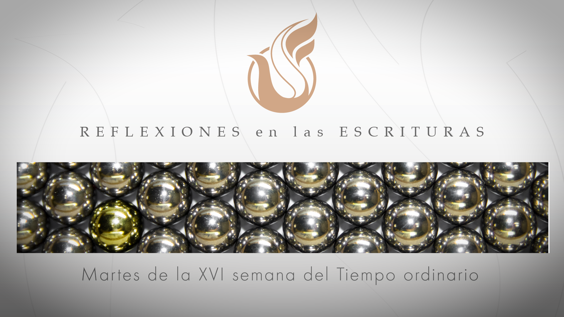Reflexiones de las Escrituras | Martes de la XVI semana del Tiempo ordinario