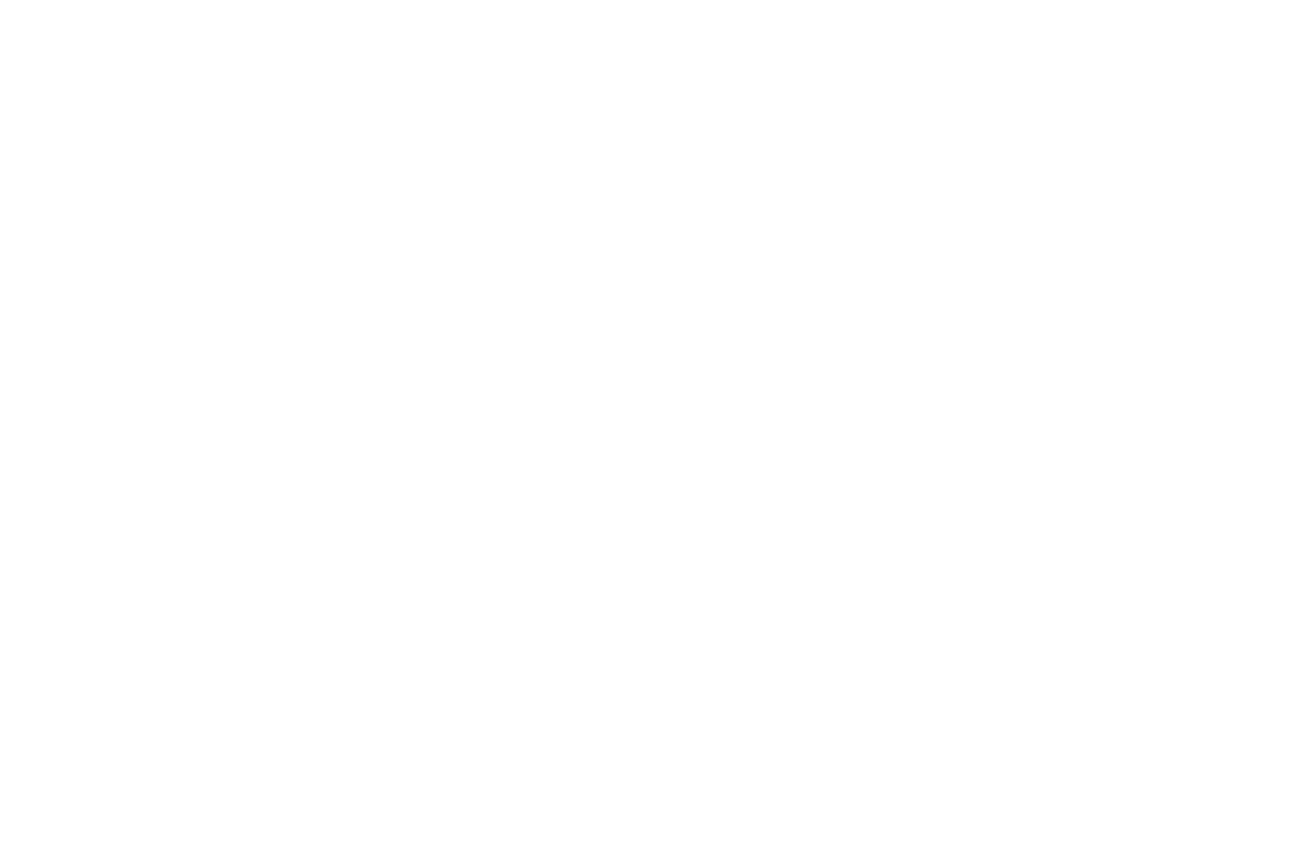 Triangle Spirits Logo - White.png