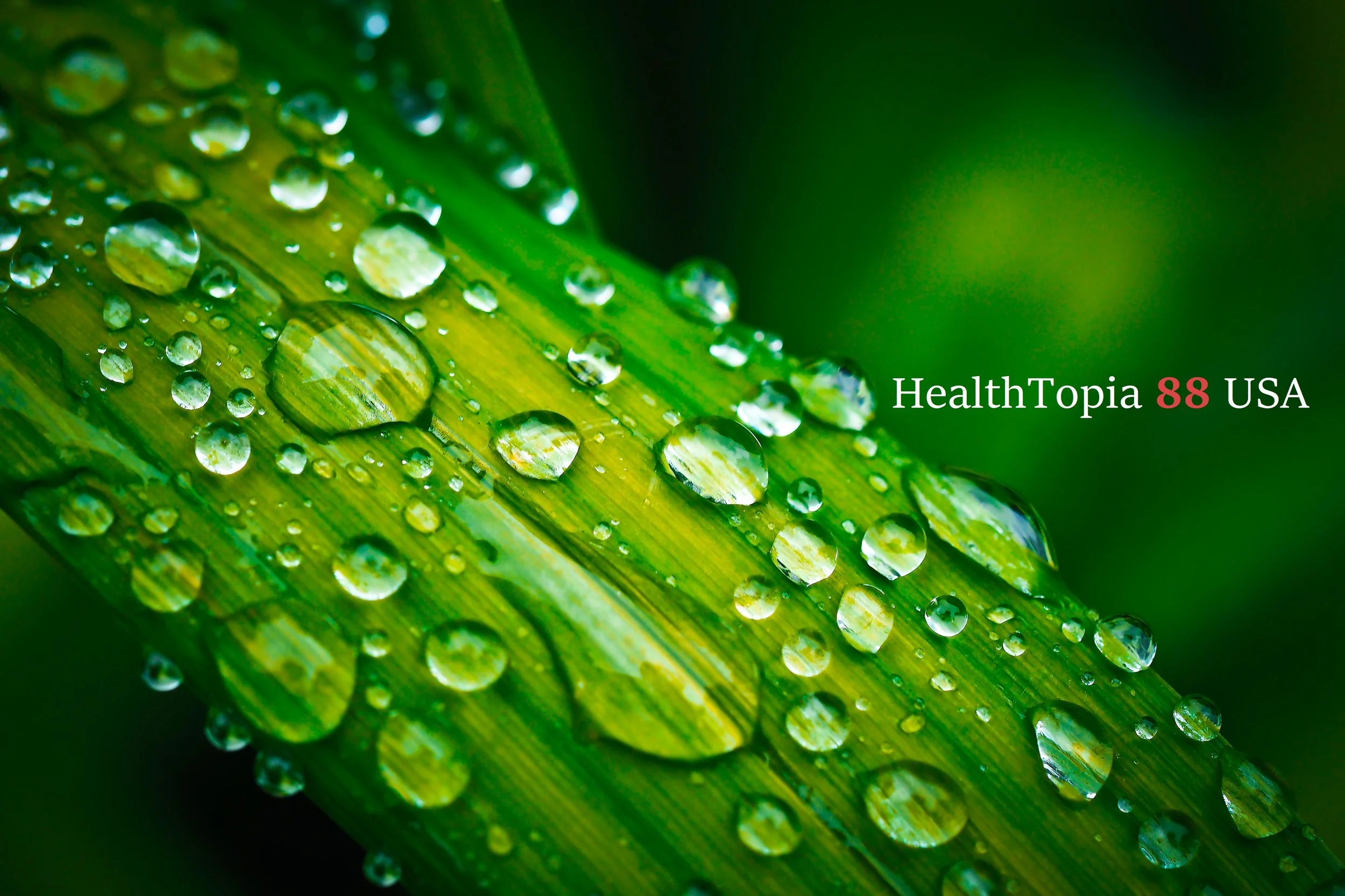 Healthtopia USA best logo headline.jpg