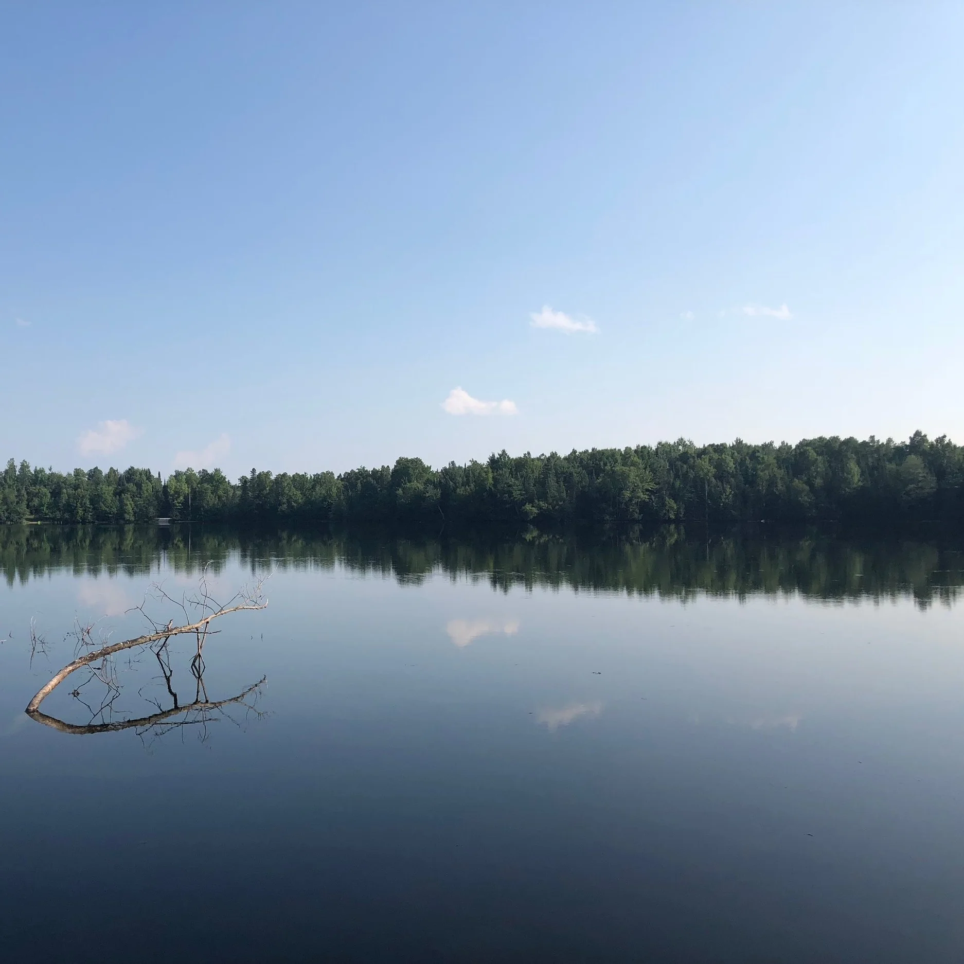 Chequamegon national forest.jpg