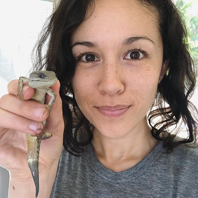 some things that happened today:
.
- i found an alligator lizard
- i geeked out like a little kid about it (see pic #2)
- it bit me (though i prefer to think of it as more of a goodbye kiss)
- i updated my @spotify playlist with new pretty music for 