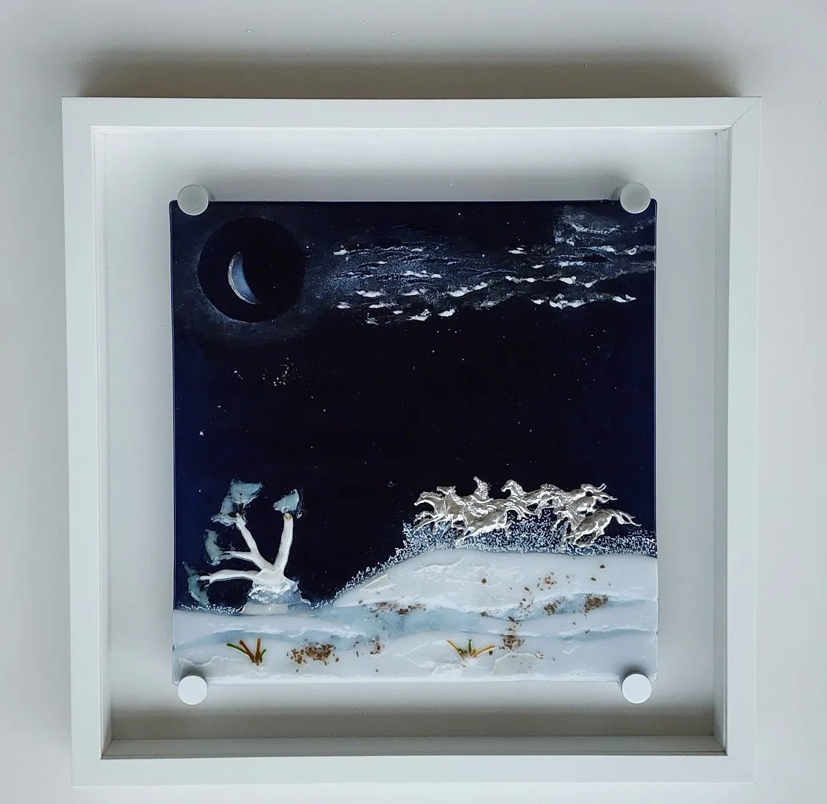 Ghost Brumbies 1 (Bottom Natural Light).jpeg