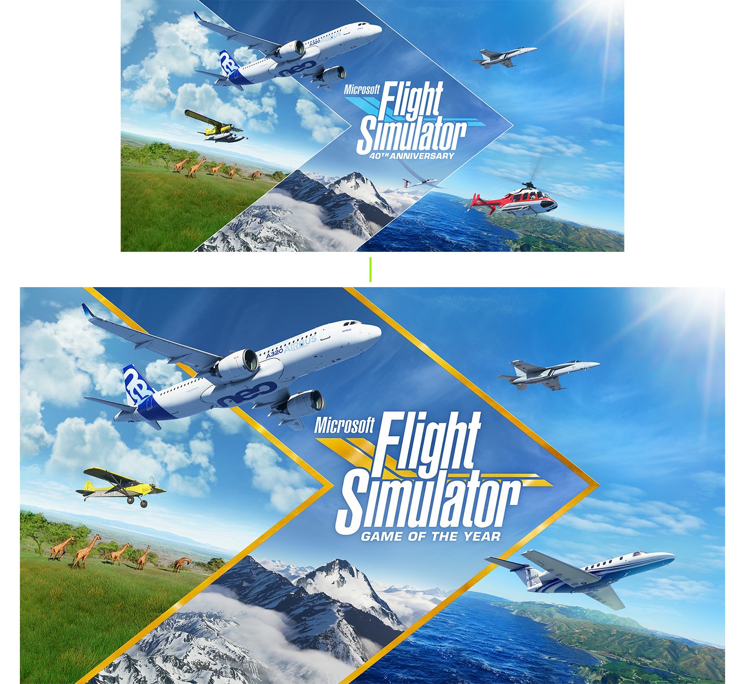 MICROSOFT FLIGHT SIMULATOR GAME OF THE YEAR EDITION KEY ART