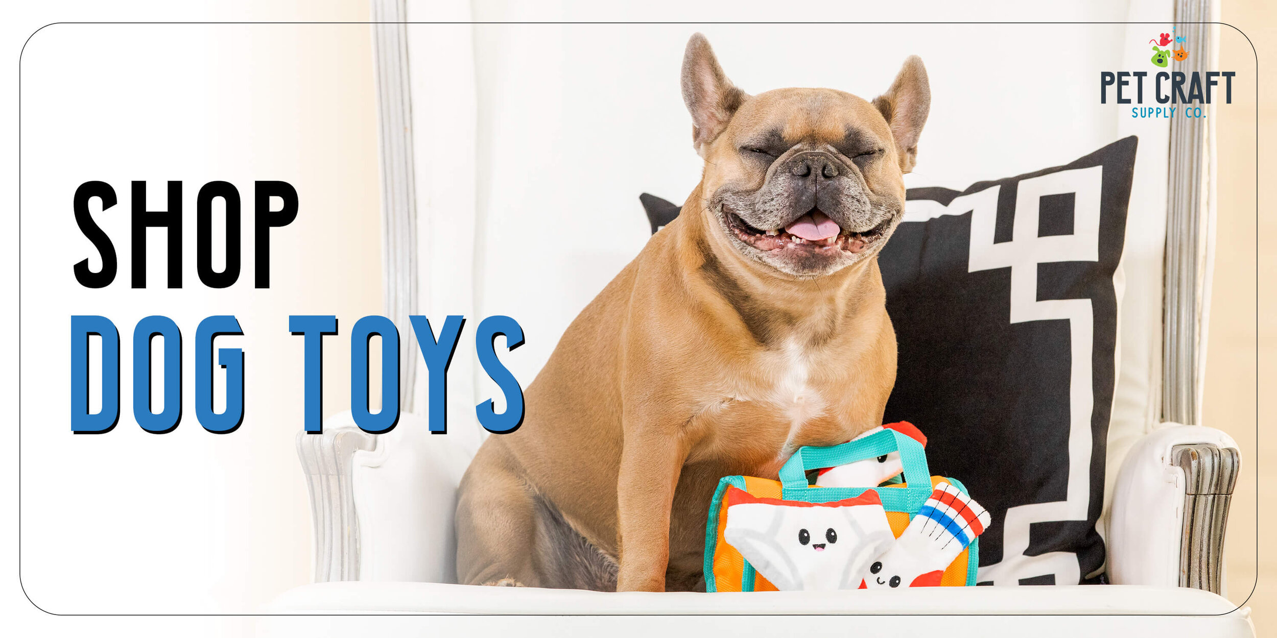 pinch collar petsmart