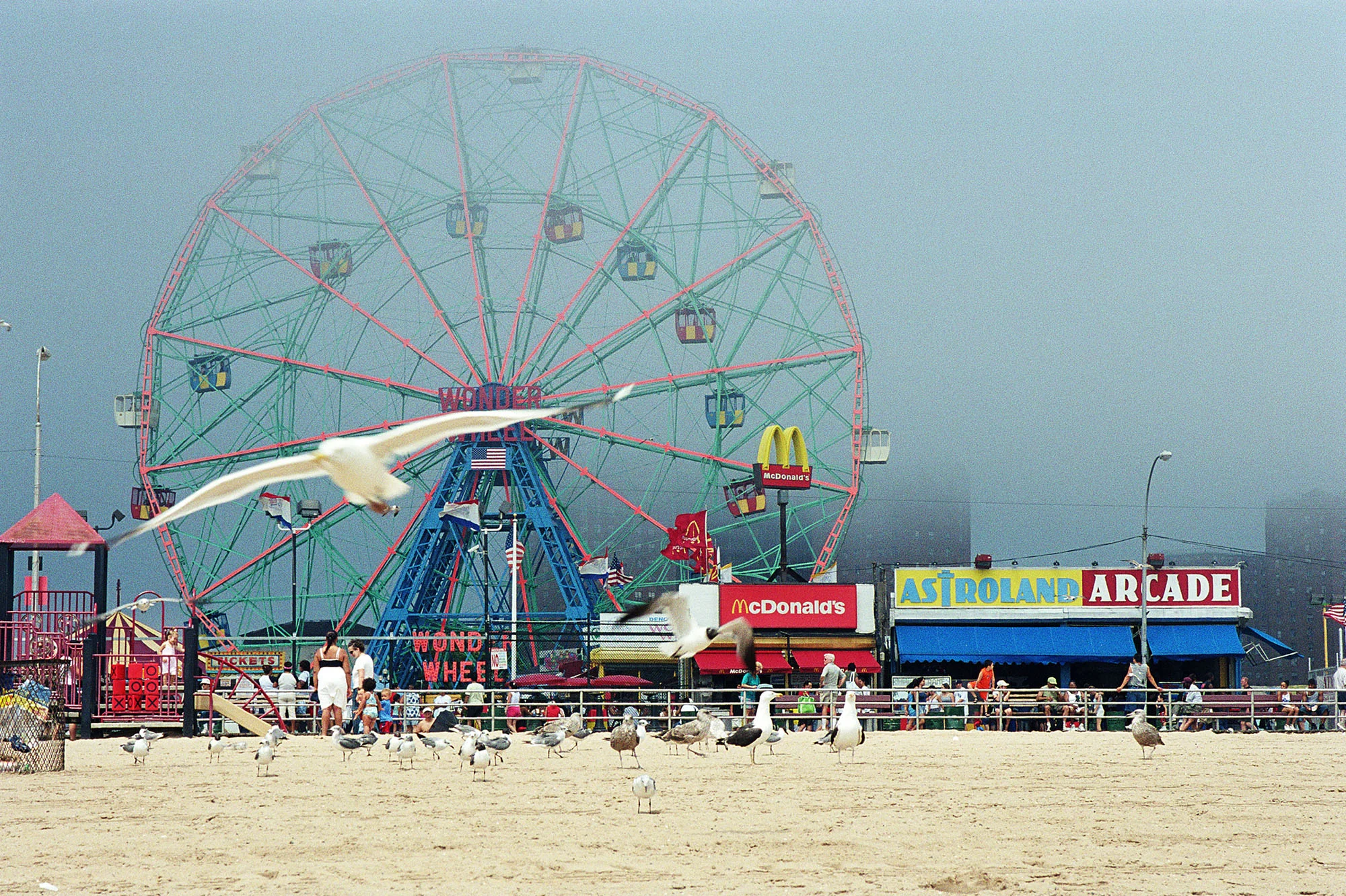 coney.jpg