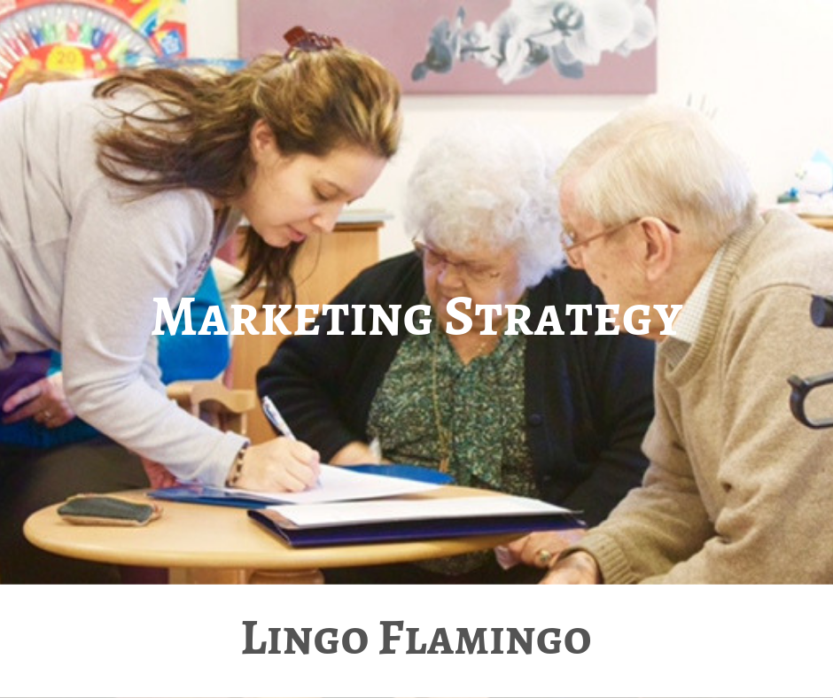 Lingo Flamingo Marketing Strategy CEIS