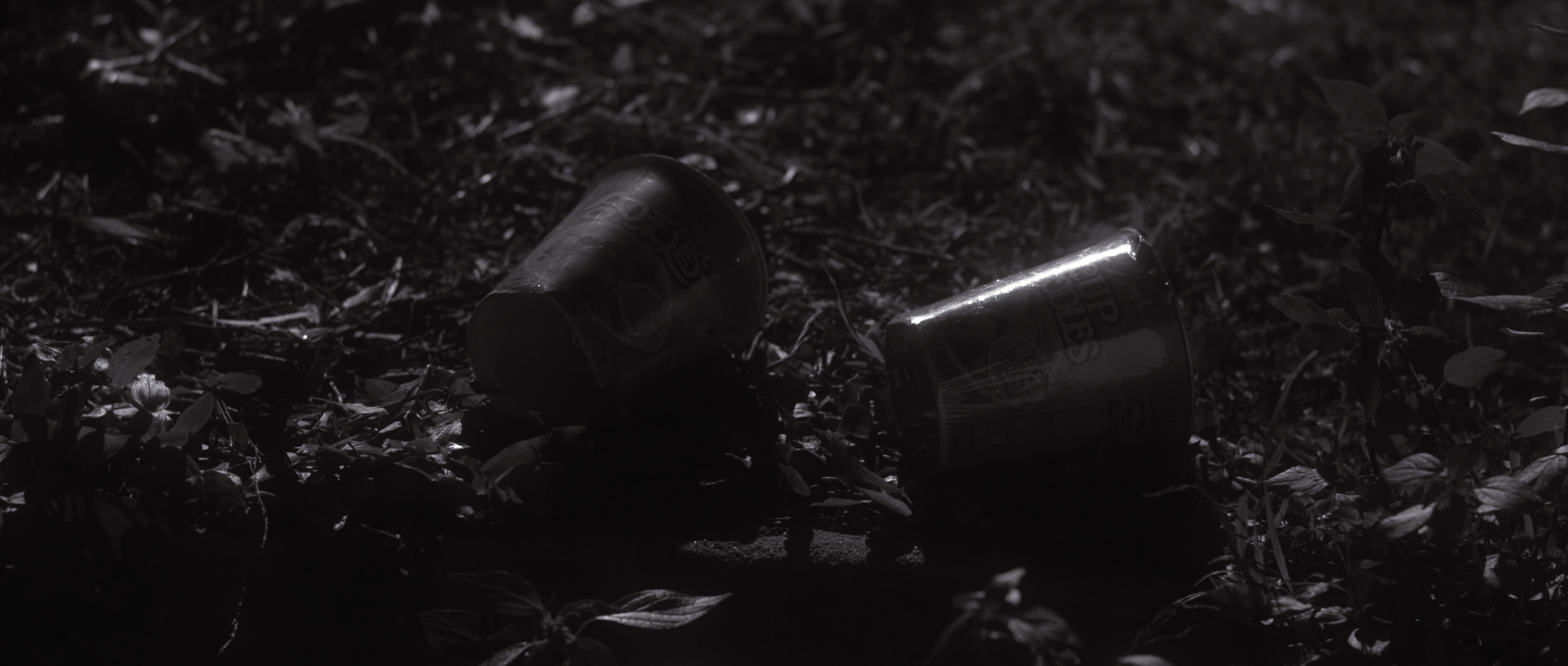 Screen Shot 2021-12-15 at 4.53.45 pm.png