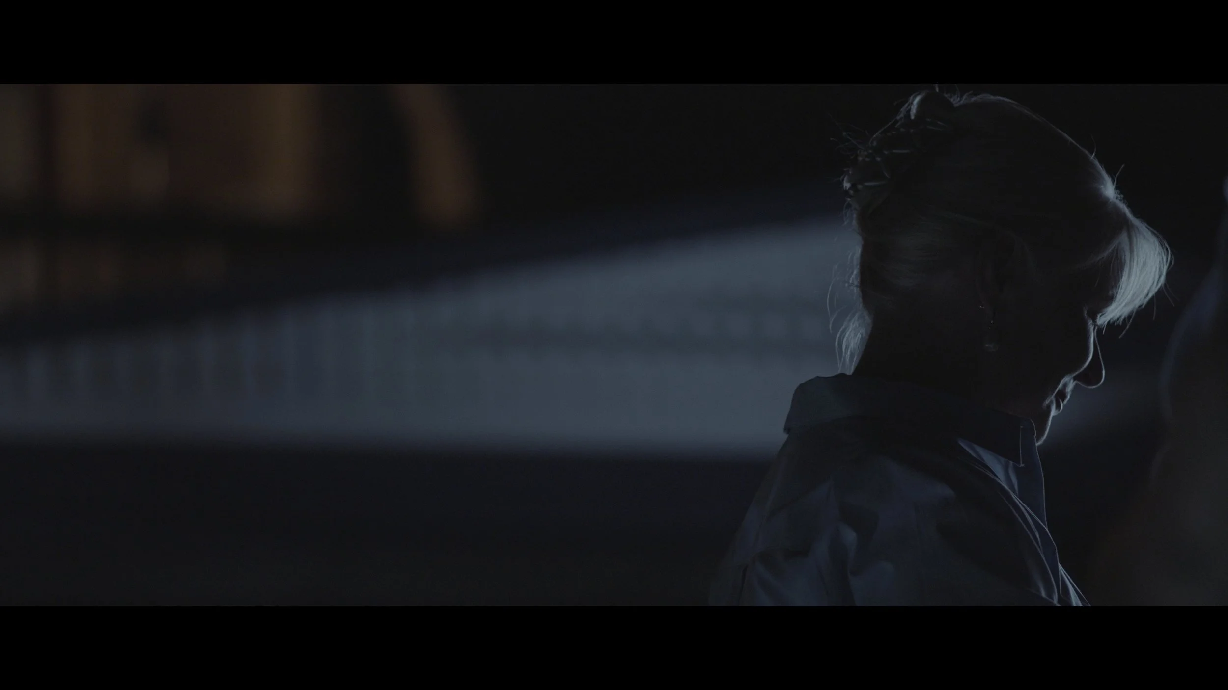 Rosa Addons 2_1.19.1.jpg