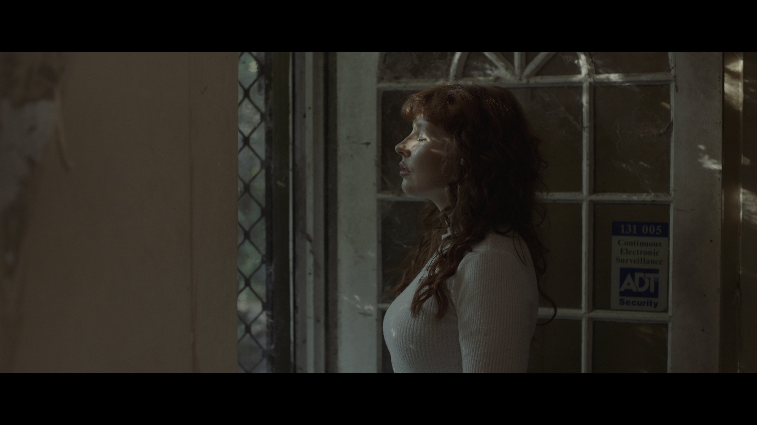 Rosa Addons 2_1.9.1.jpg