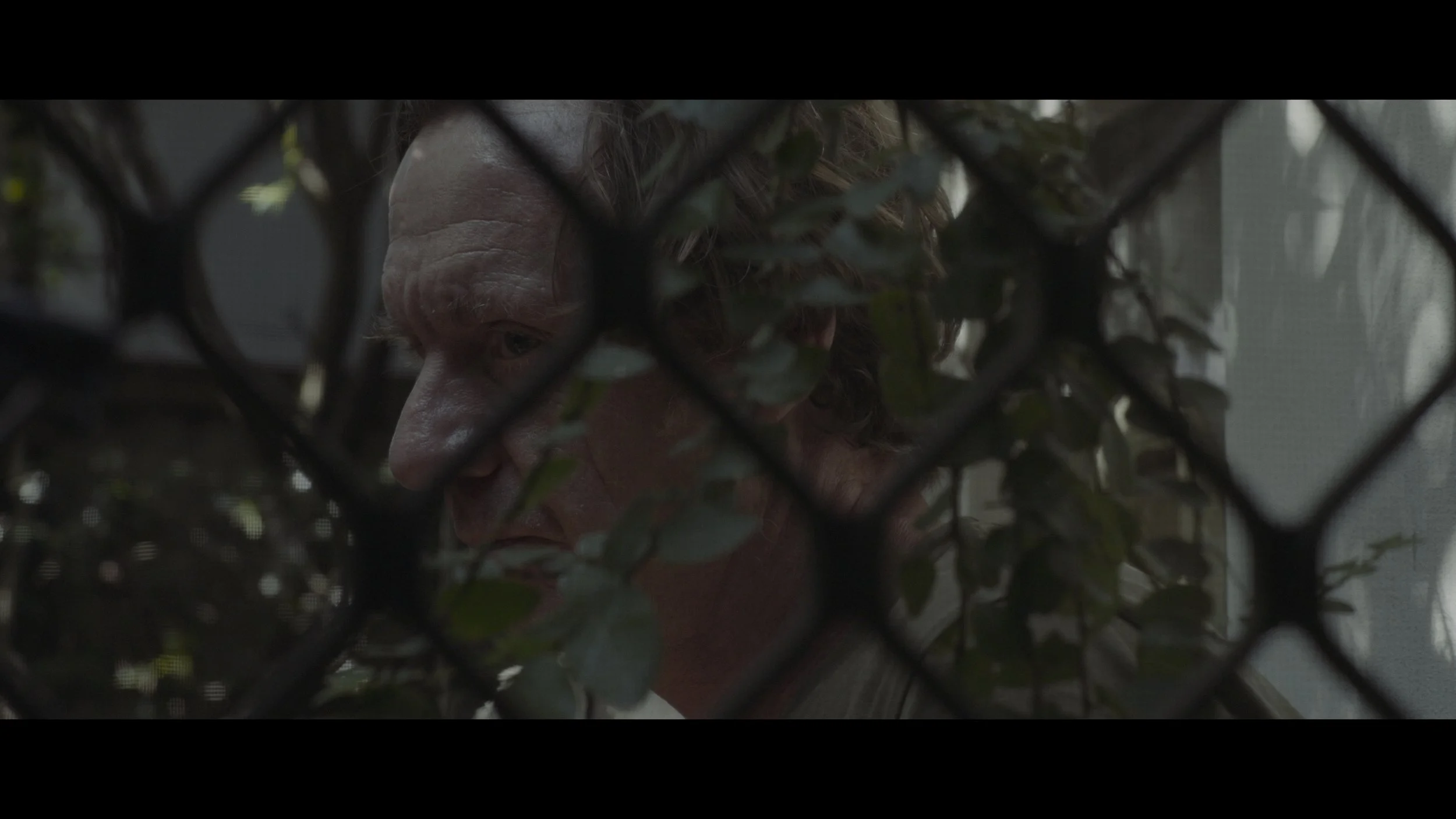 Rosa Addons 2_1.13.1.jpg