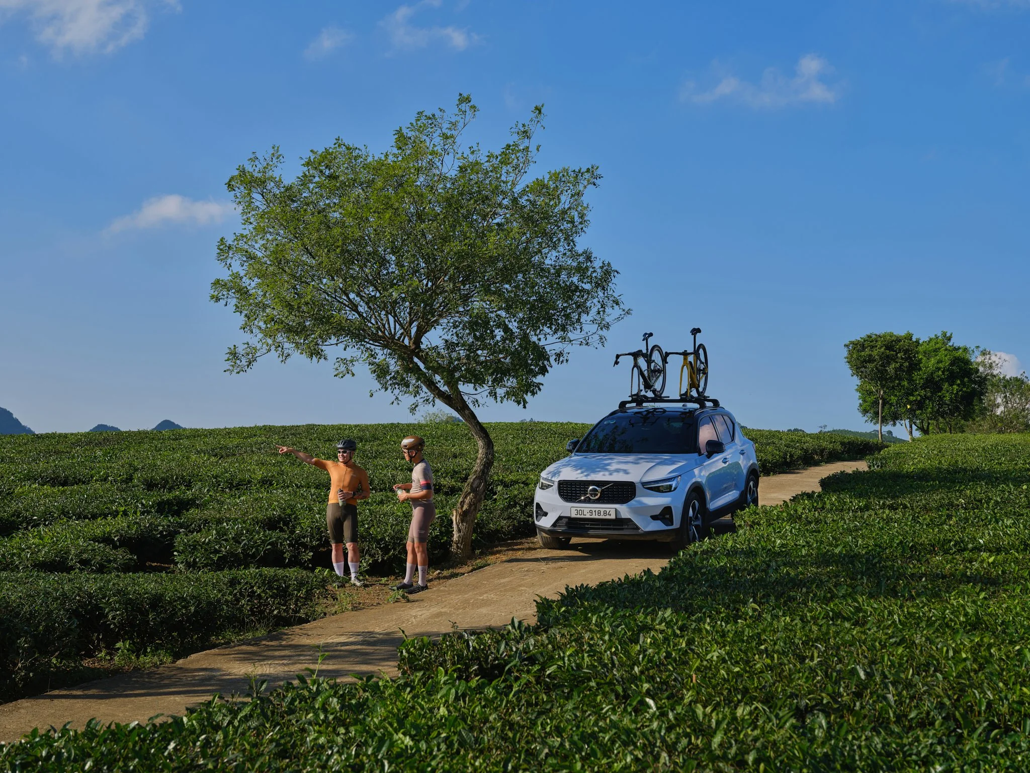 Volvo_0901.jpg