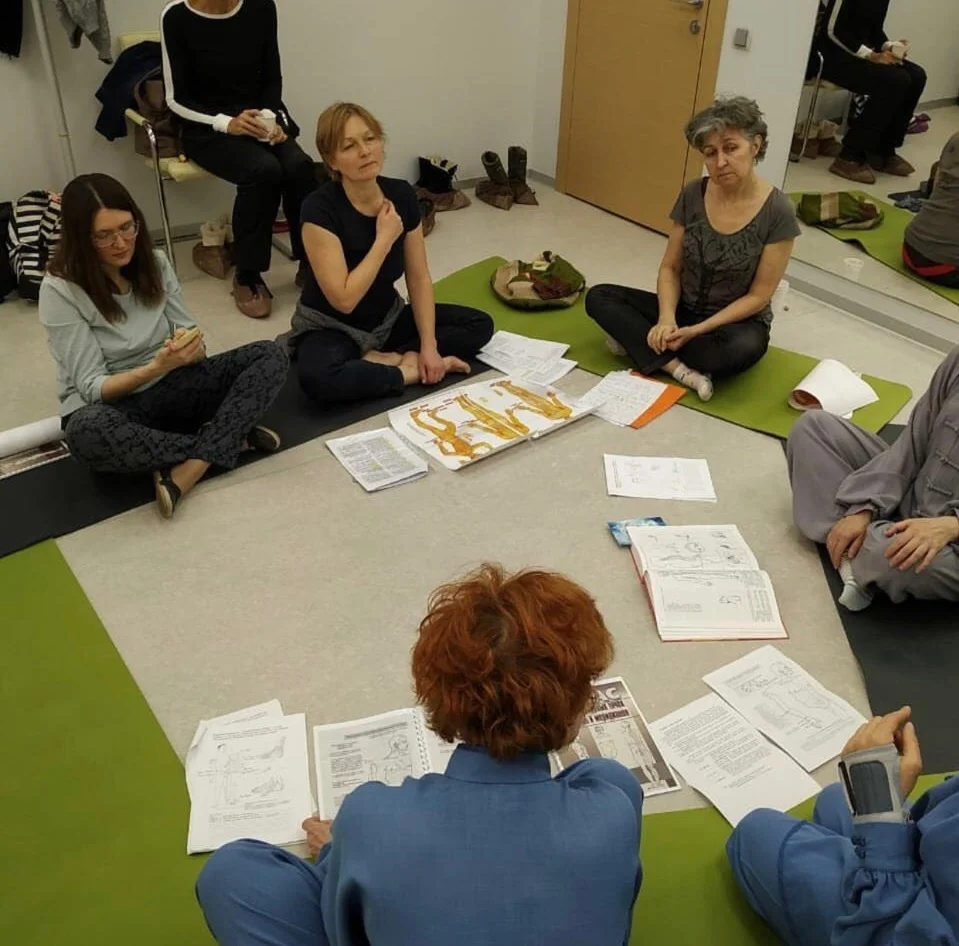 Теория цигун-тренировки