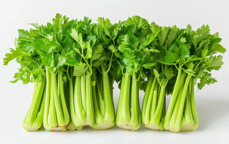 Анализ аллергии на сельдерей: симптомы, диагностика и лечение