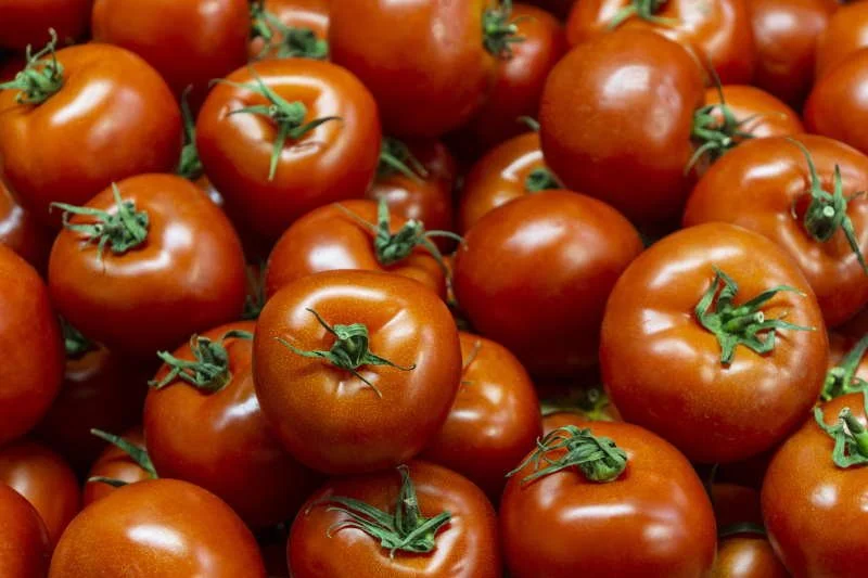 Анализ аллергии на томаты