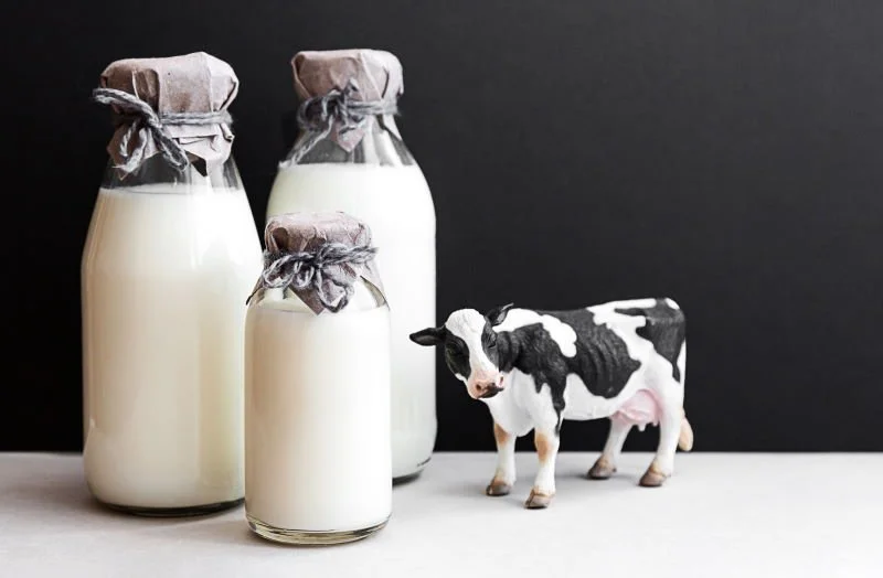 Анализ аллергии на коровье молоко: причины, симптомы и диагностика