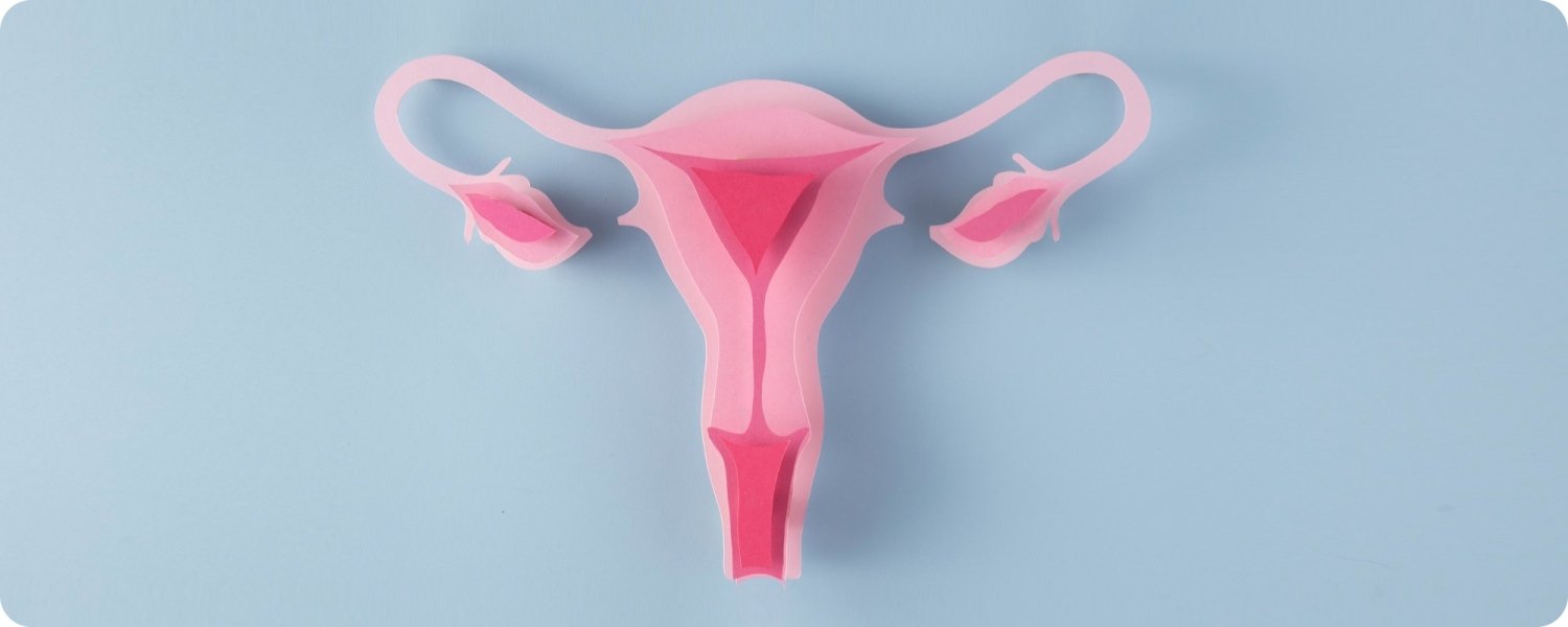 Кресло BTL EMSELLA - инновационное решение для тазового дна