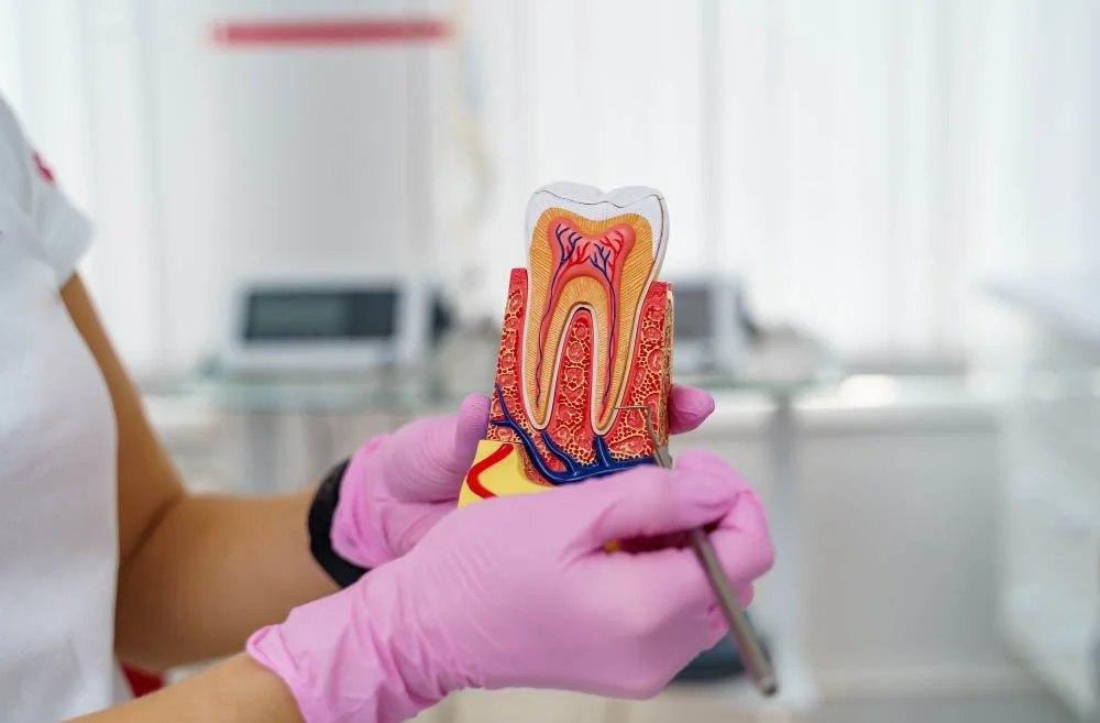 Перелечивание каналов зуба