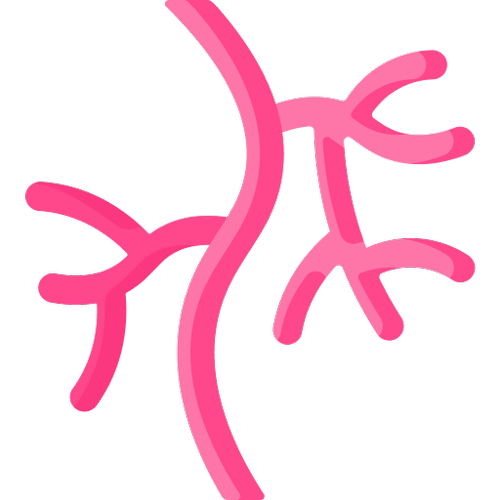 Удаление сосудов