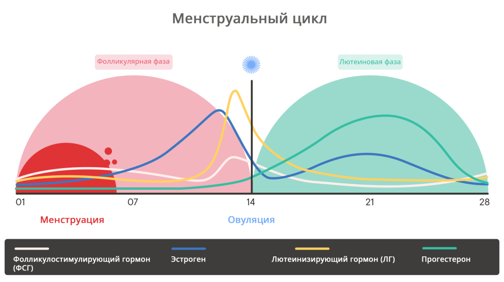 ФЕРРИТИН ПРЕДМЕНСТРУАЛЬНЫЙ СИНДРОМ И ТРЕВОЖНОЕ РАССТРОЙСТВО