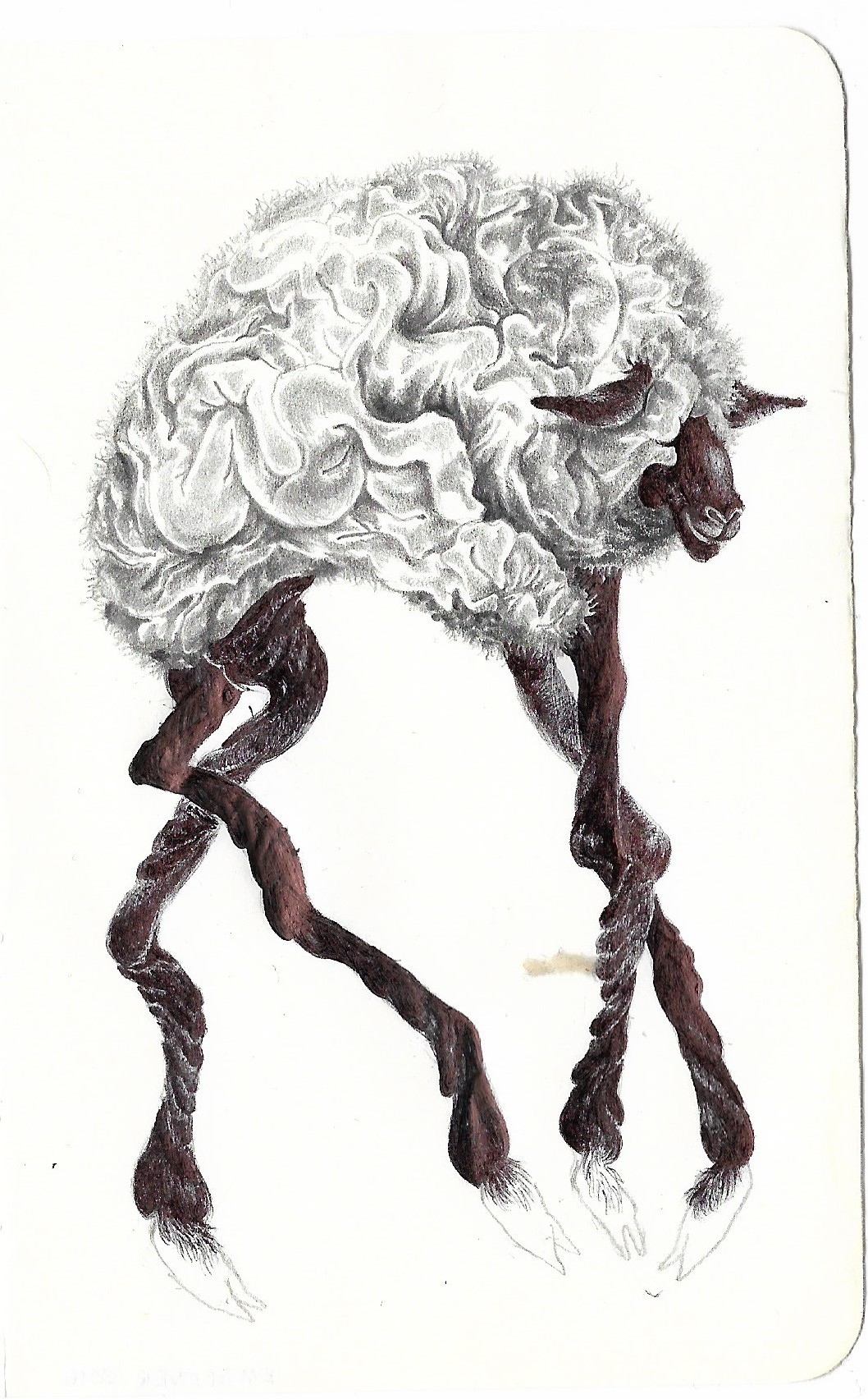 dancing sheep (2)